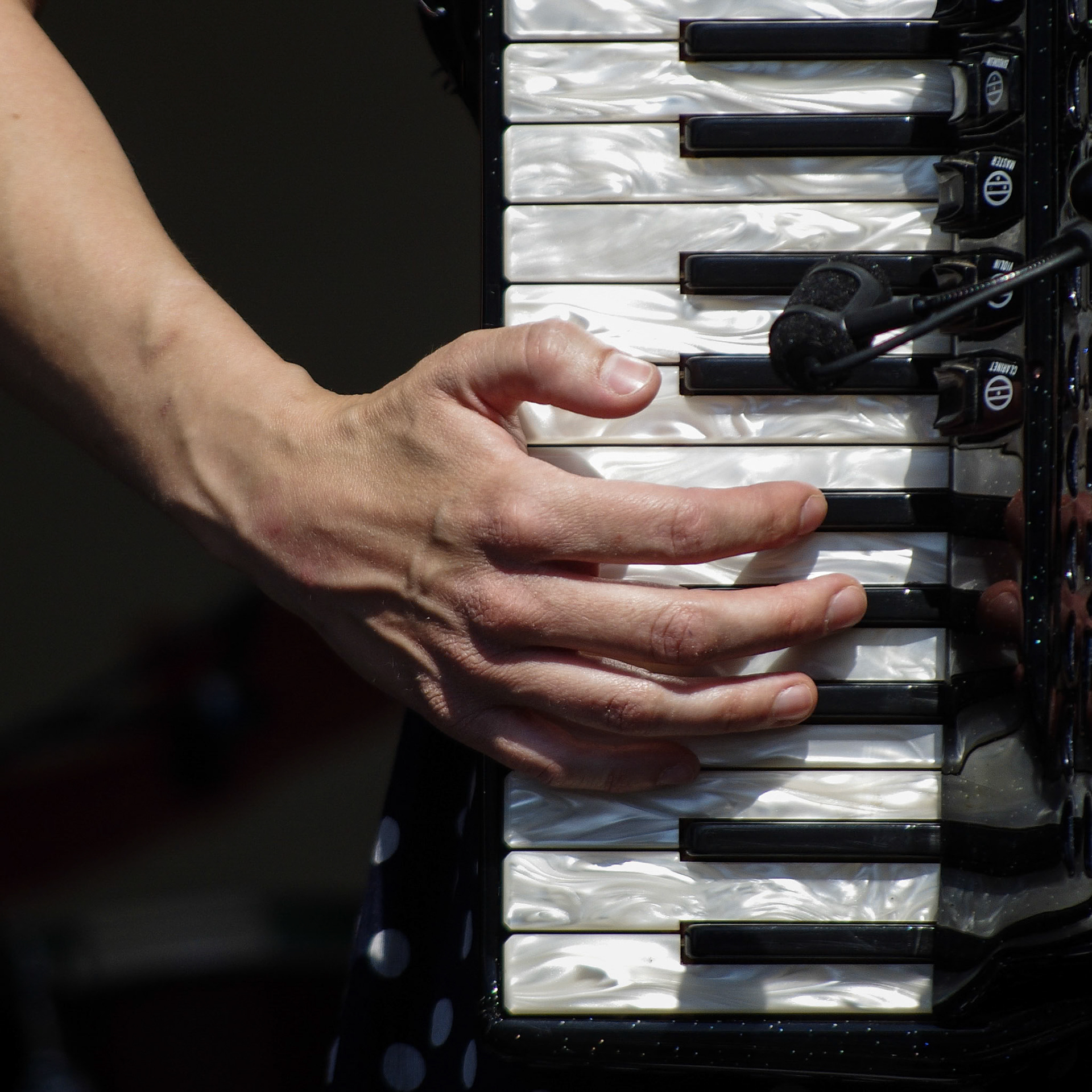taken at the Edmonton Folk Music Festival