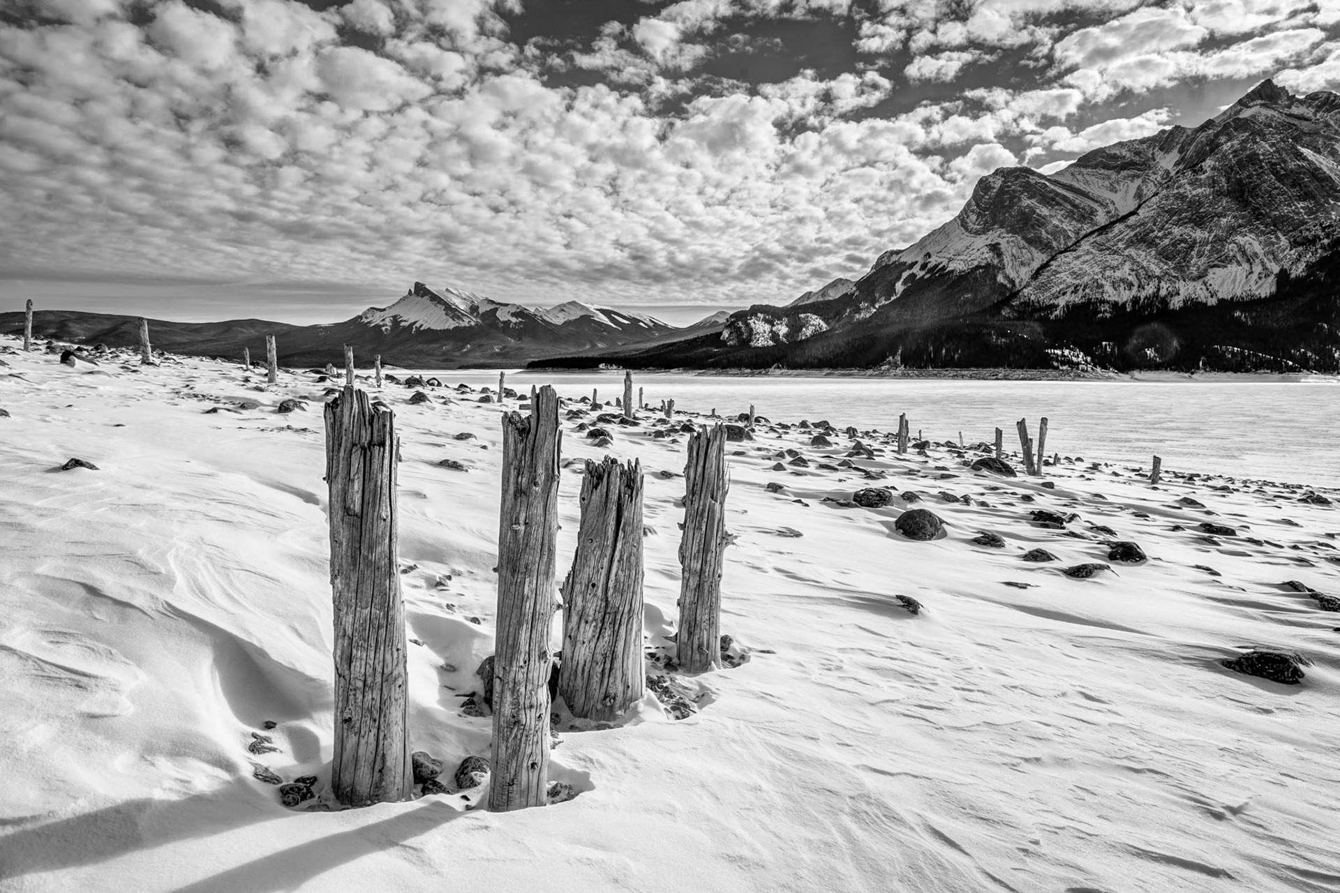 taken at "the stumps" on Lake Abraham, AB