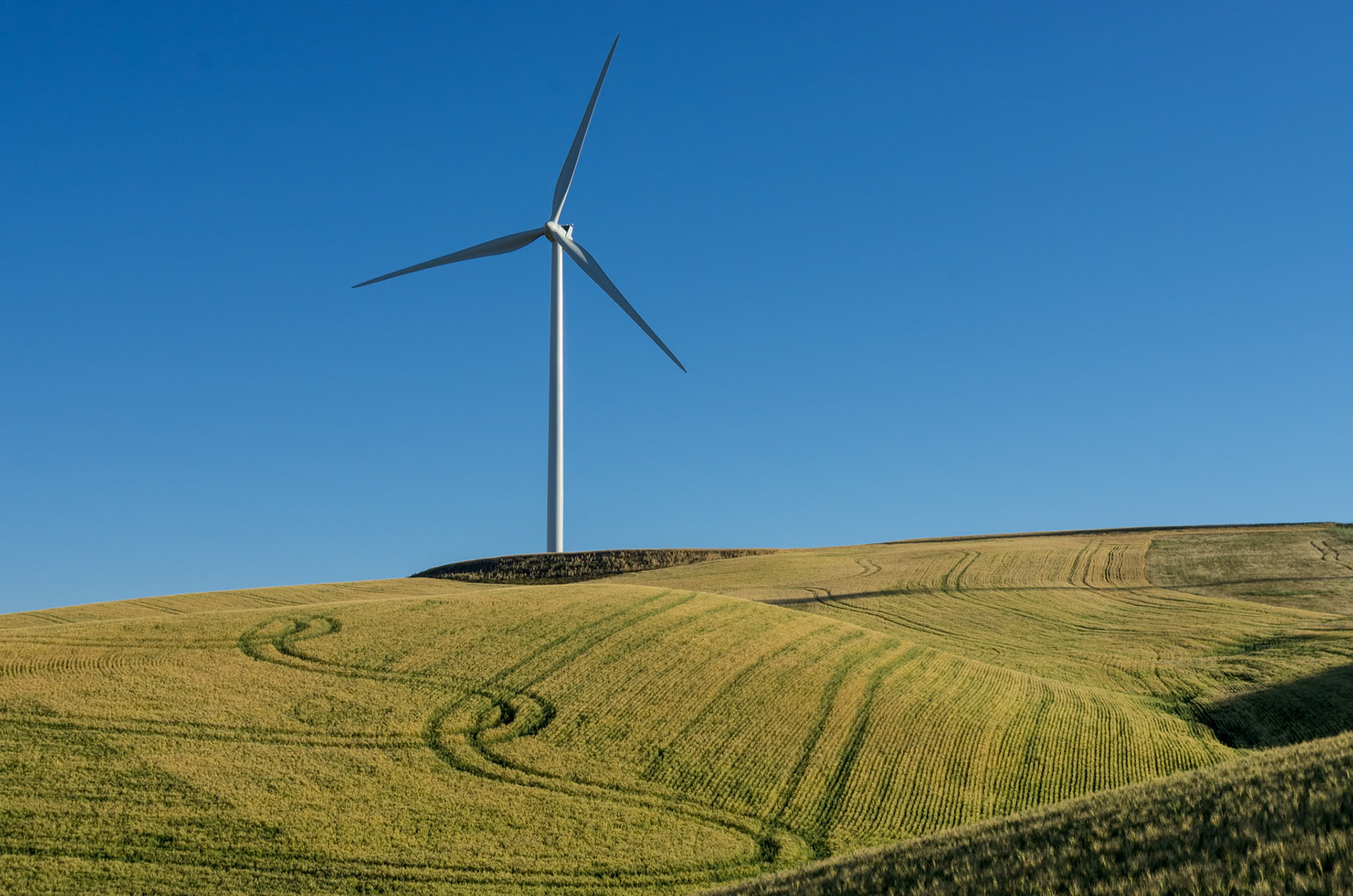 taken in the Palouse area of eastern WA state