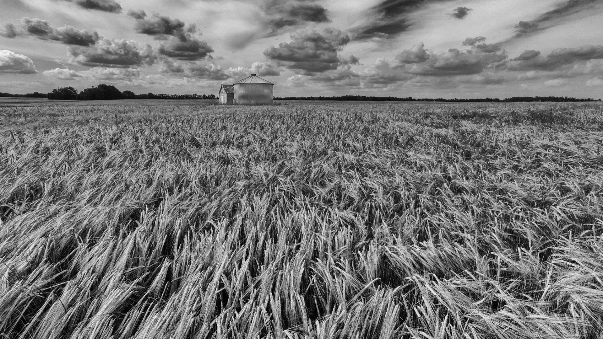 taken in Two Hills County, AB