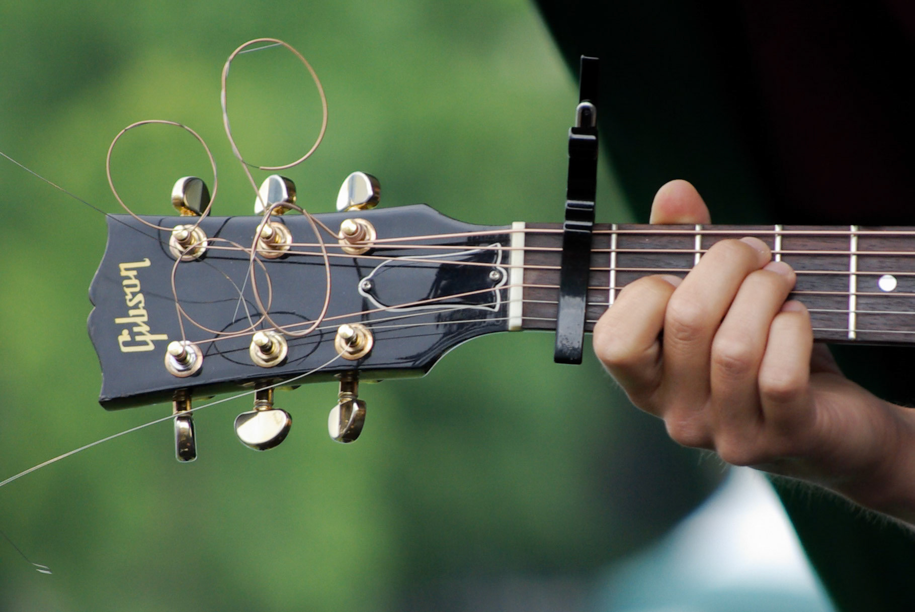 taken at the Edmonton Folk Music Festival