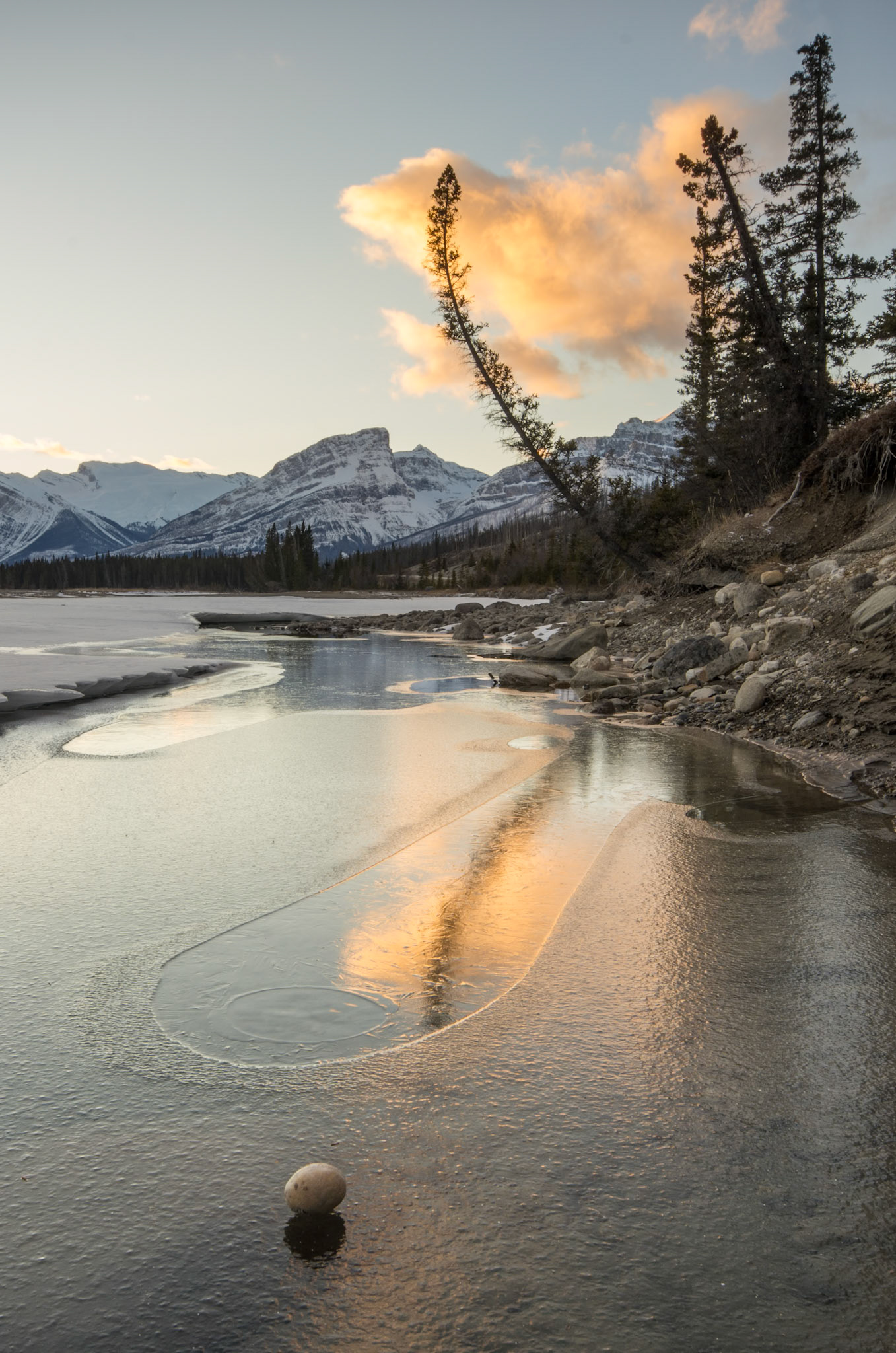 taken in Jasper National Park