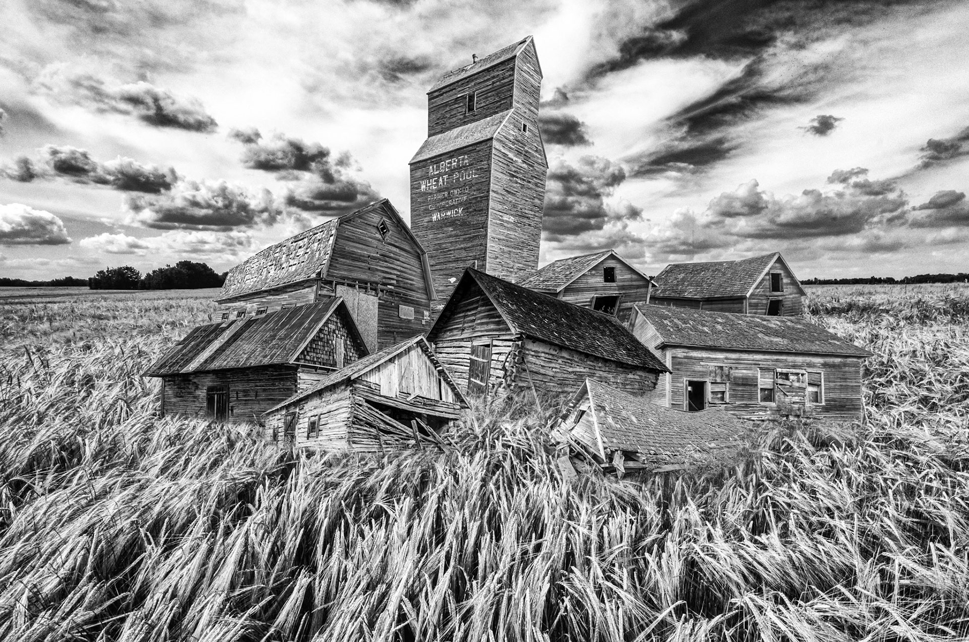 taken in Warwick, AB