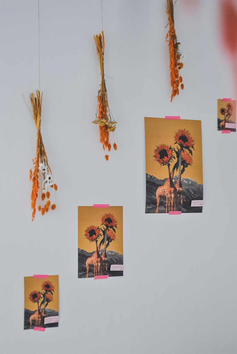 SONNENBLUMENGIRAFFEN