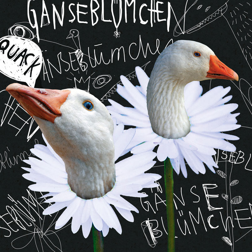 GÄNSEBLÜMCHEN