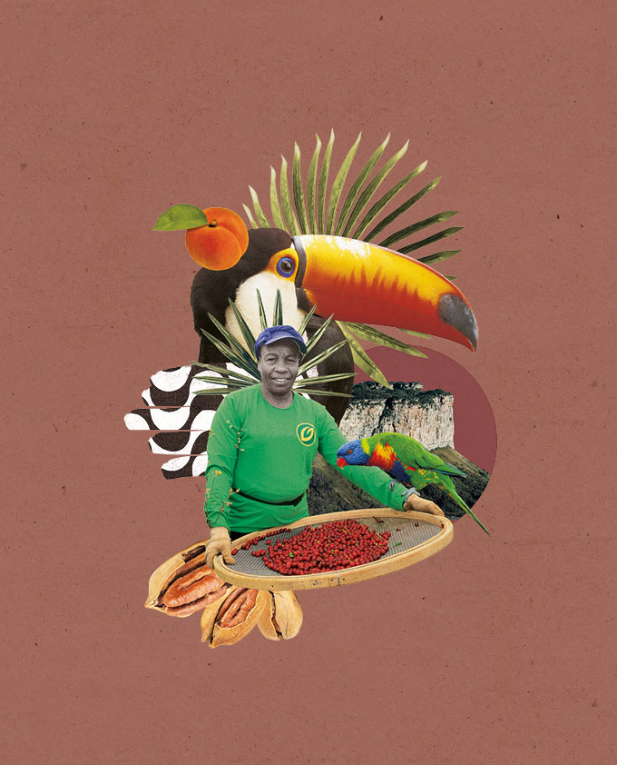 ILLUSTRATION, LIMITED EDITION COFFEE, REHORIK