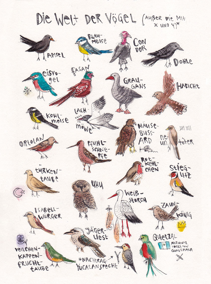 DIE WELT DER VÖGEL