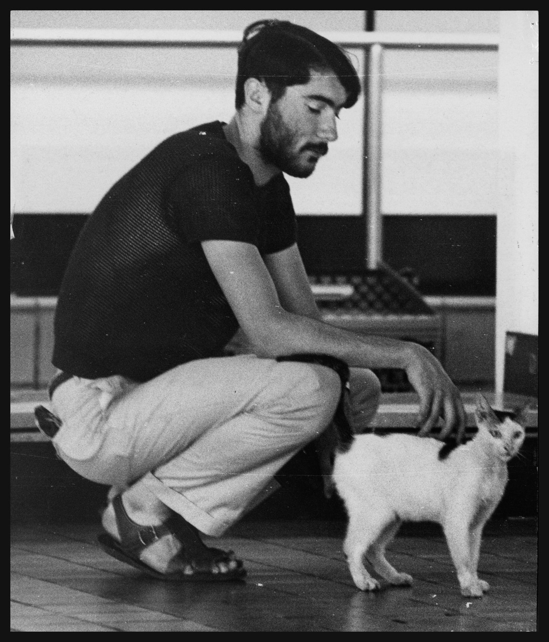Viajero acaricia a gata en el aeropuerto.Febrero 14, 1968