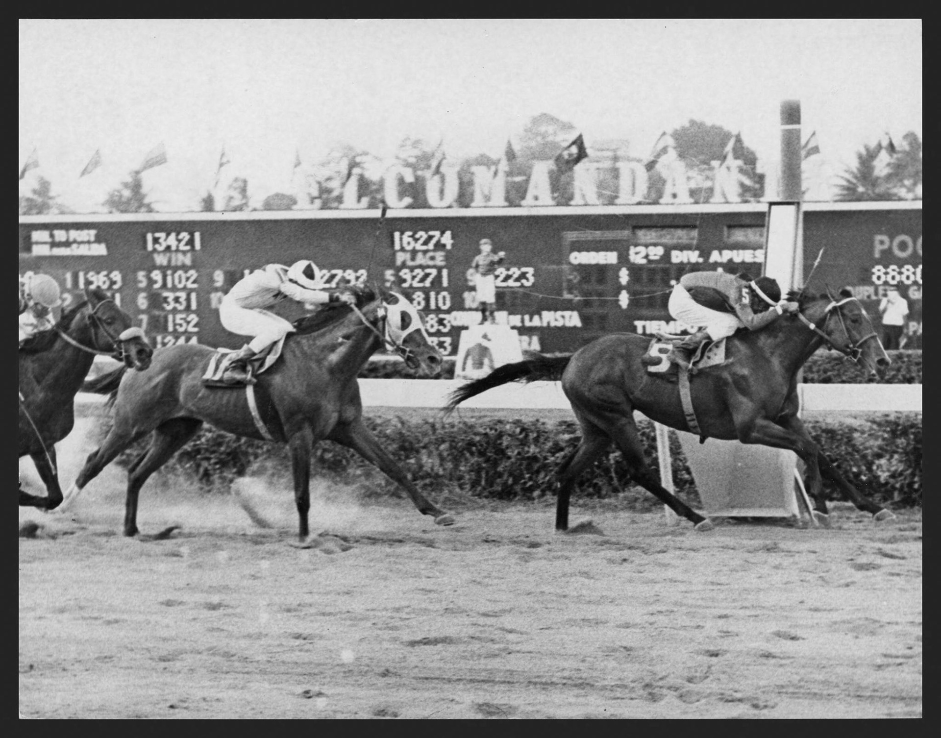 Hipismo.Mayo 31, 1967