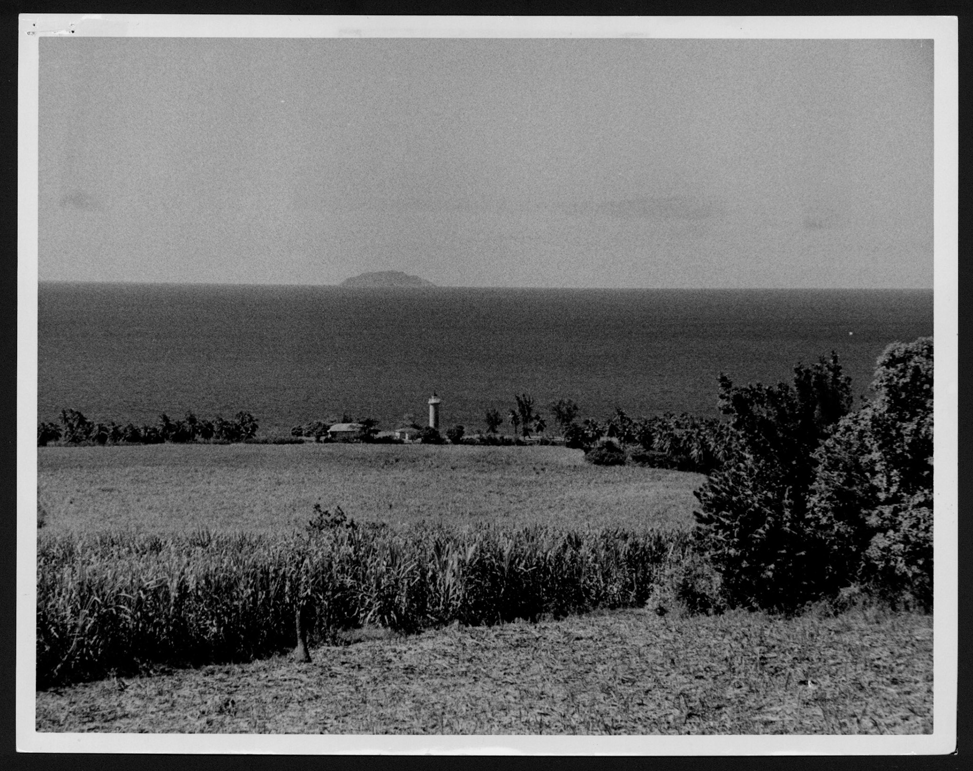 Vista del terreno en Punta Higüera, Rincón  donde se construiría la planta nuclear.