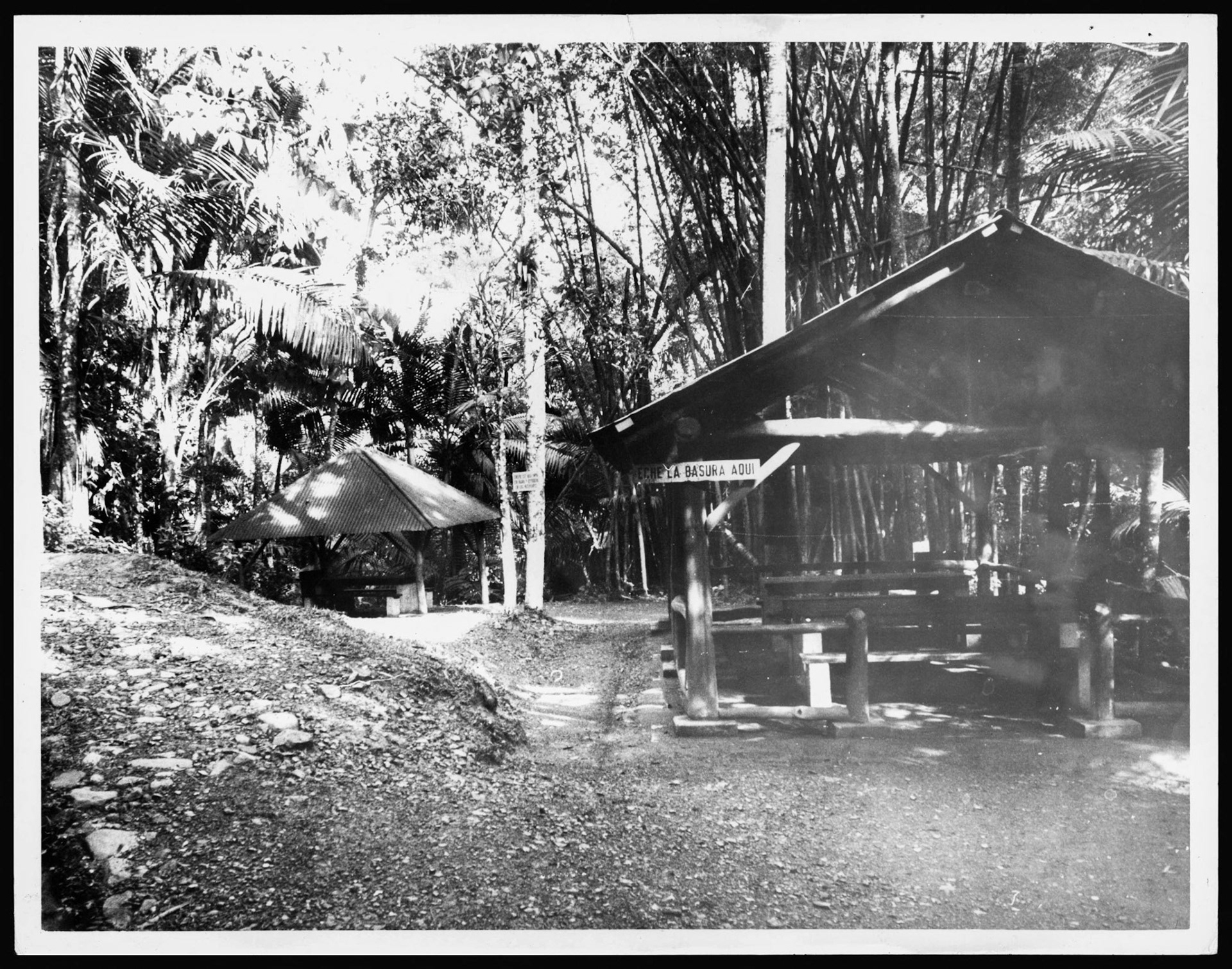 El bosque de Doña Juana igual que el del Yunque hay casetas y una vegetación espesa y también es un refugio para aves.Septiembre 12, 1964