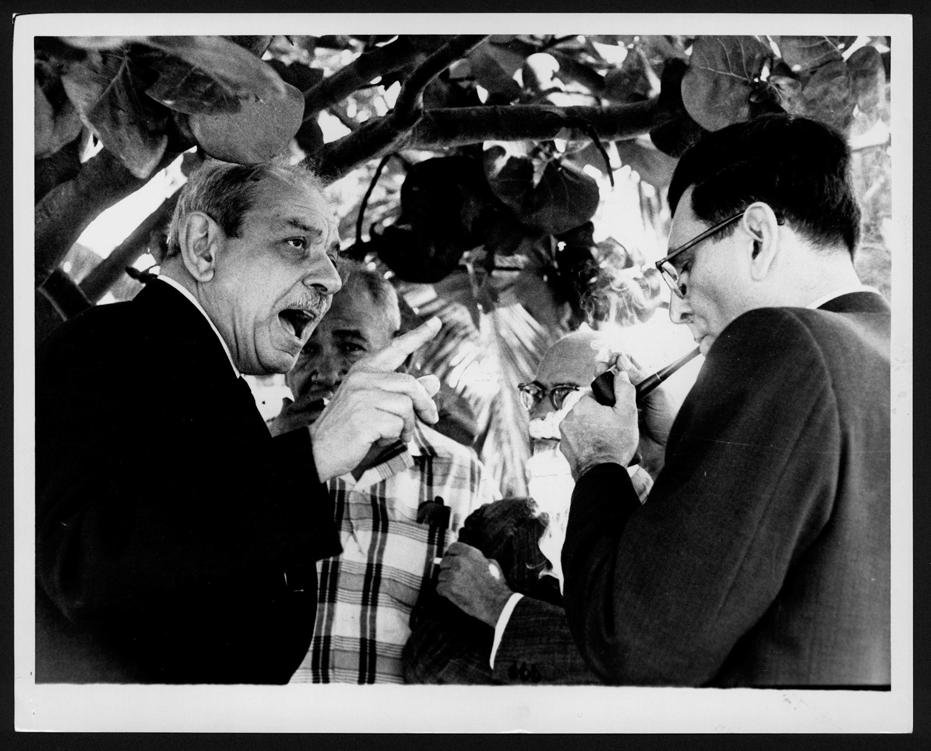 LUIS MUÑOZ MARÍN HABLANDO CON VARIOS LÍDERES LEGISLATIVOS  A LA SOMBRA DE UN ÁRBOL.ISLA VERDE.ENERO 8, 1963