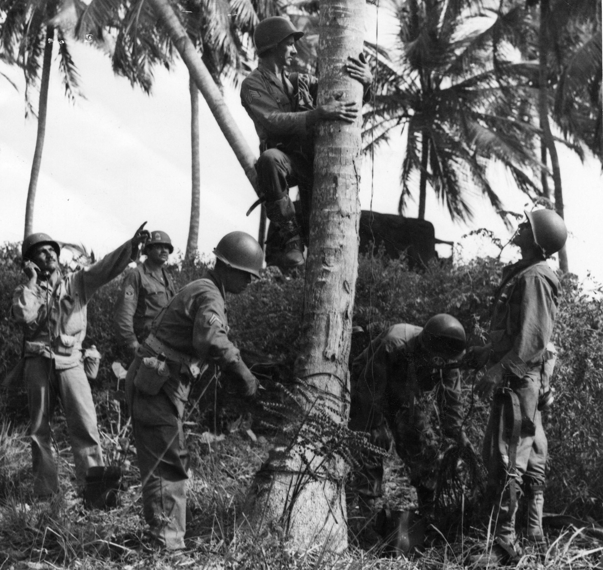 Cuerpo de Comunicaciones del Regimiento 65 de Infantería tendiendo líneas.Vieques.Febrero 1948