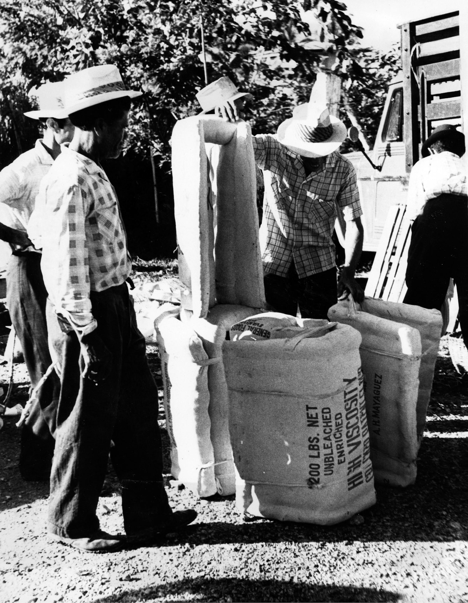 Aparejos para bestias hechos en forma rística ofrecidos en el Mercado Regional de San Sebastián.Mayo 12, 1962