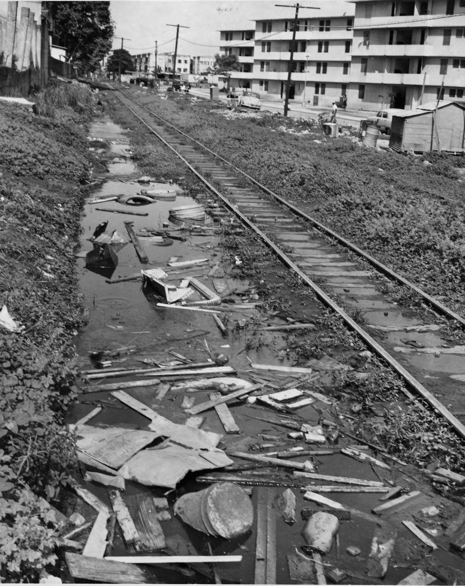 Amenaza a salud en Puerta de Tierra.Abril 6, 1953