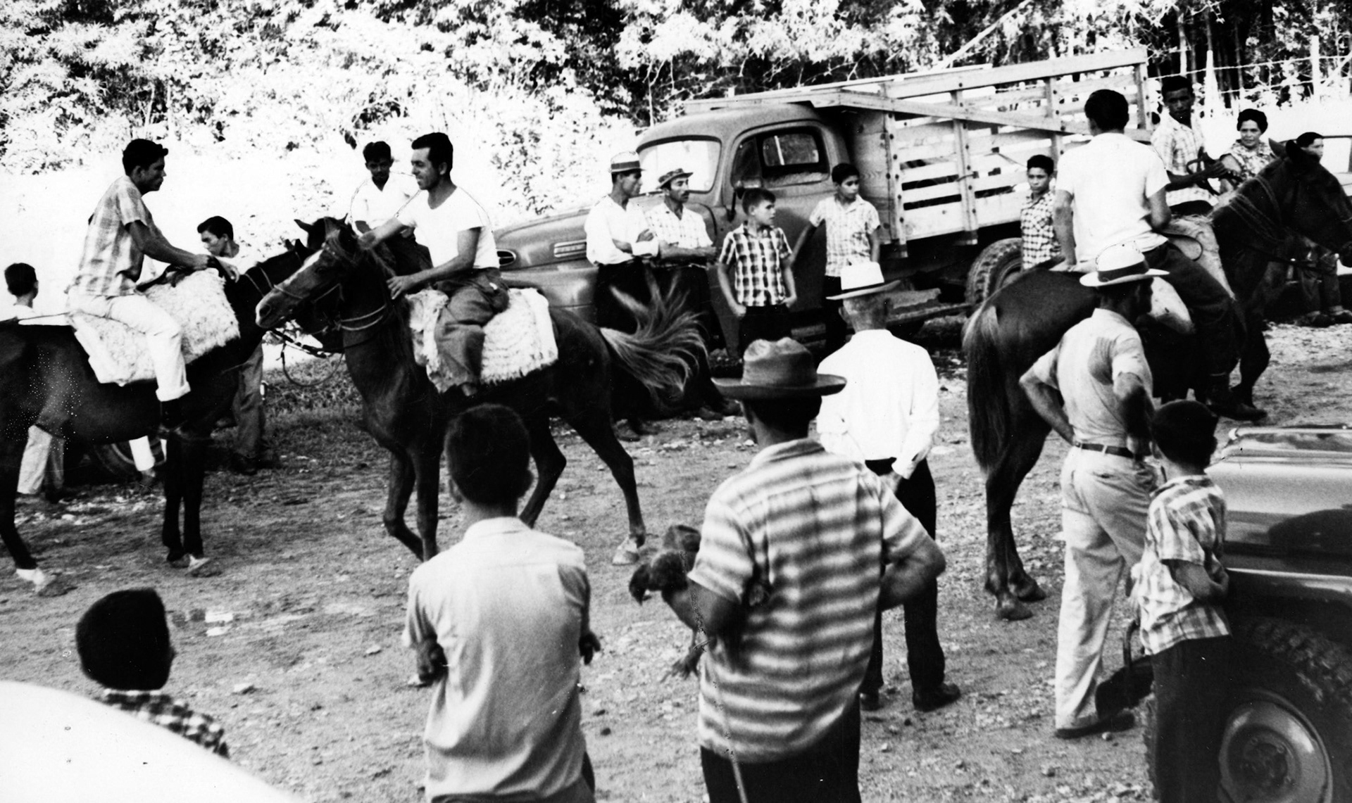 Compra y venta de caballos en el Mercado Regional de San Sebastián.Mayo 26, 1962