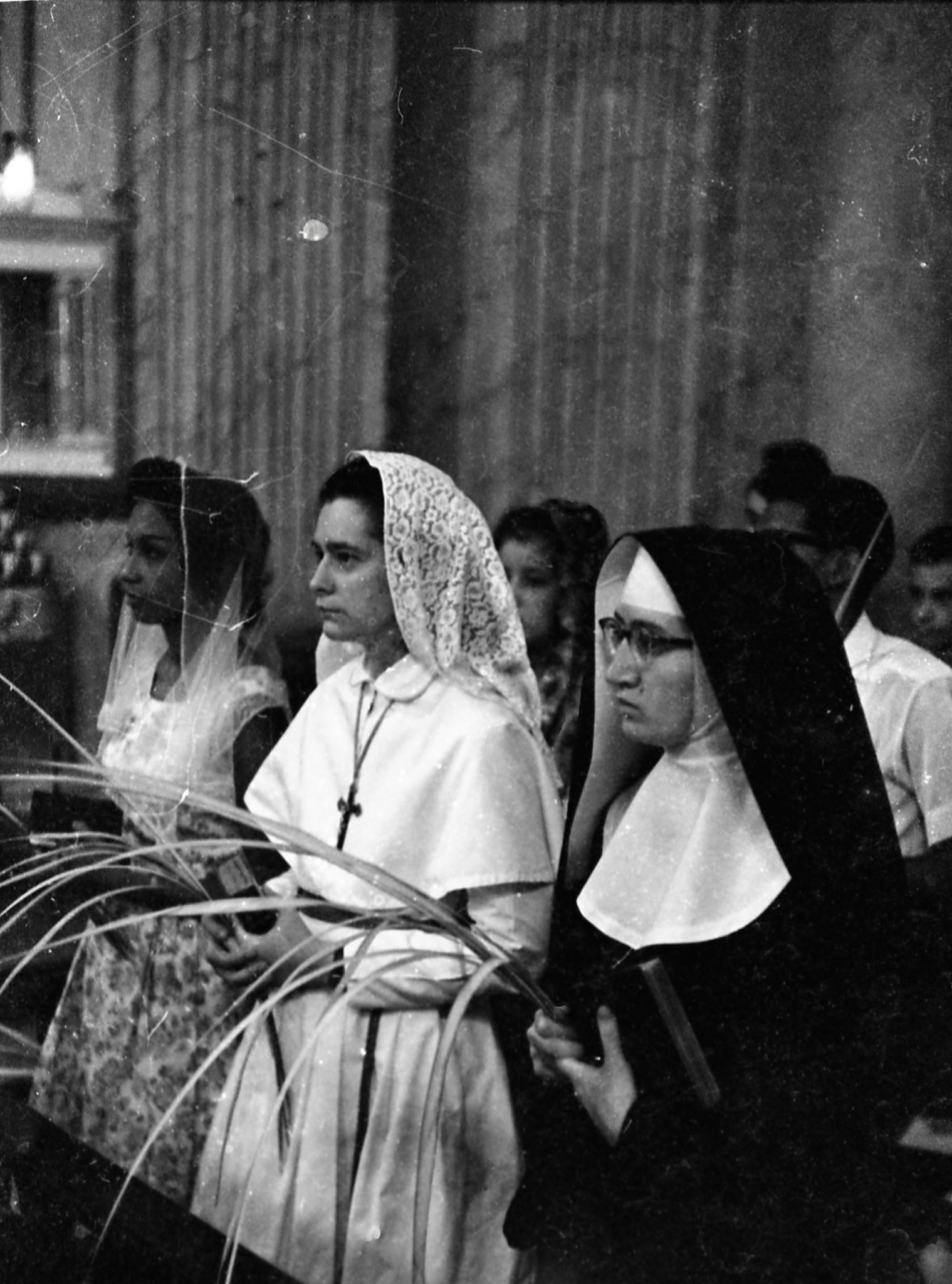 DOMINGO DE RAMOS, CATEDRAL DE SAN JUAN