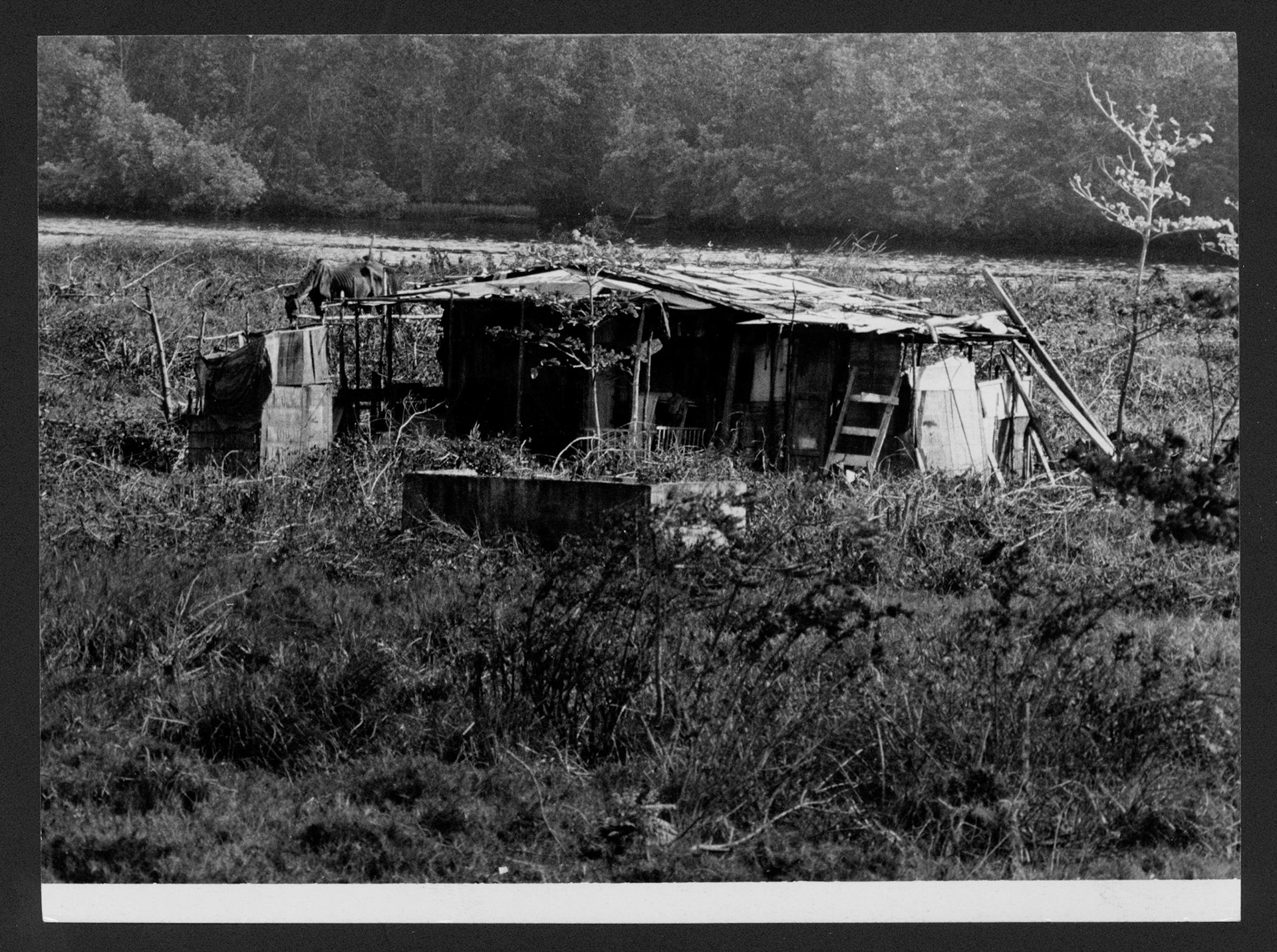 Casa construida clandestinamente frente al Puente de la Constitución en lo que fuera El Fanguito.Febrero 22, 1955