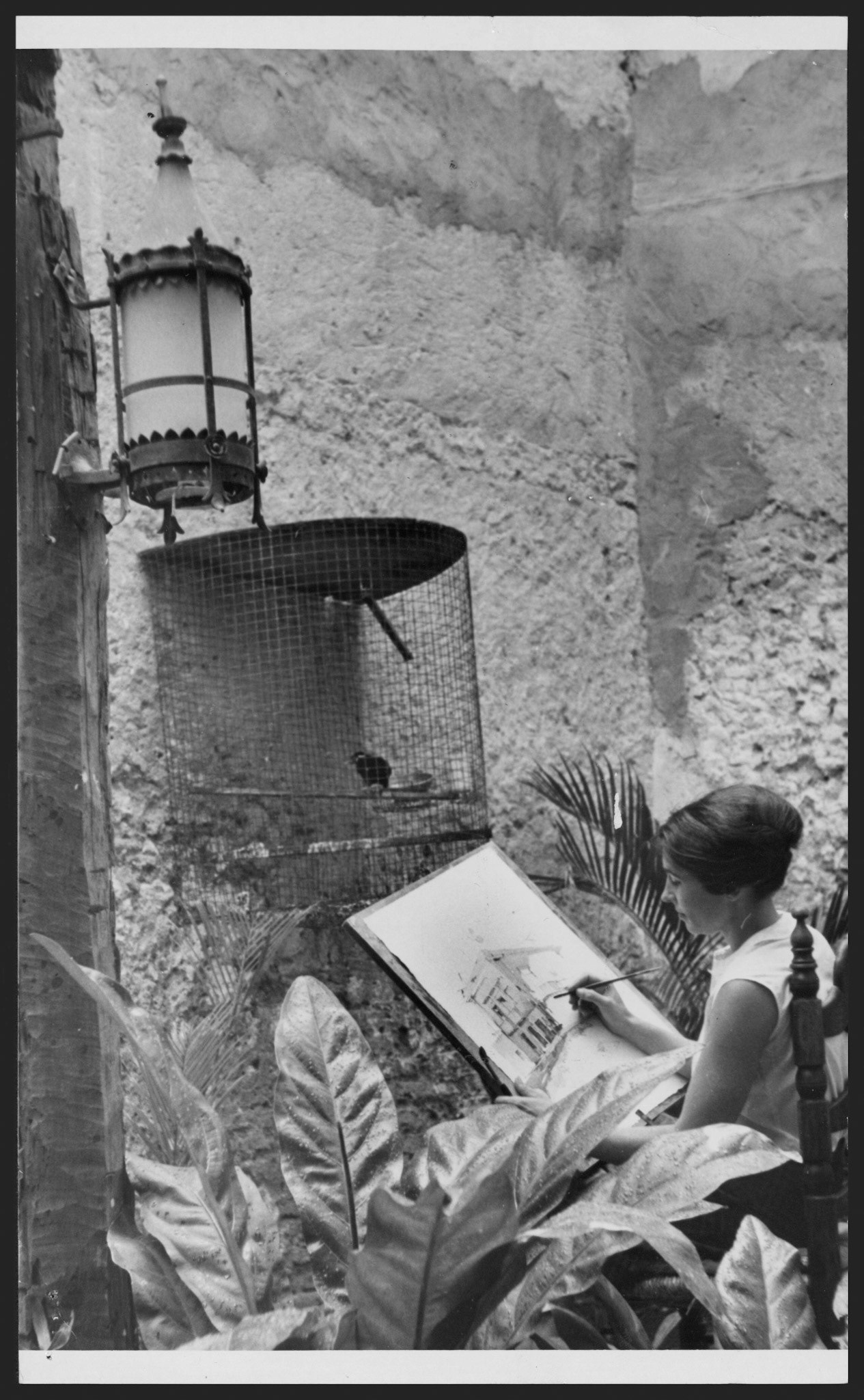 Janet D'Esopo en el jardín de su residencia dibujando una de las casas del Viejo San Juan.Abril 13, 1963