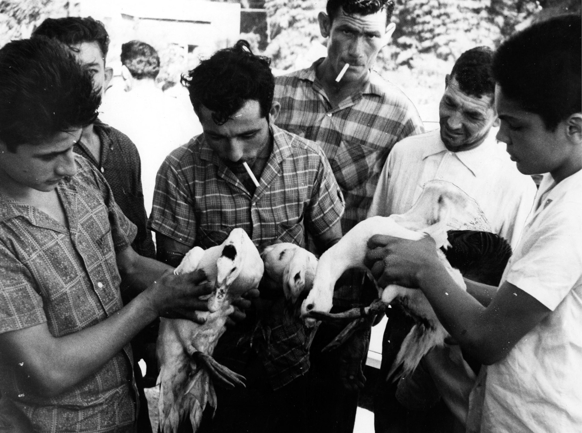 Venta de aves en el Mercado Regional de San Sebastián.Mayo 26, 1962