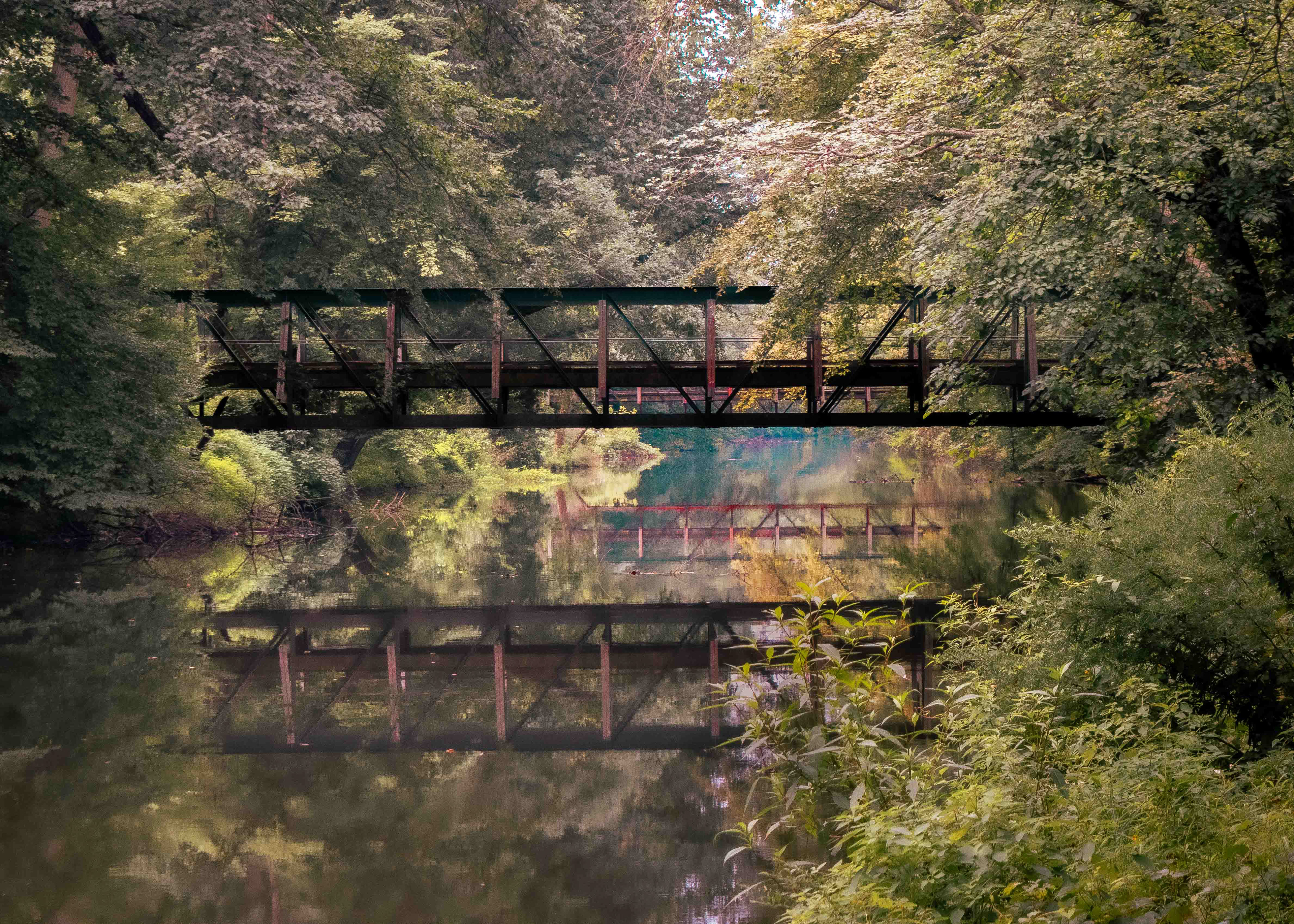 Princeton Foot Bridge