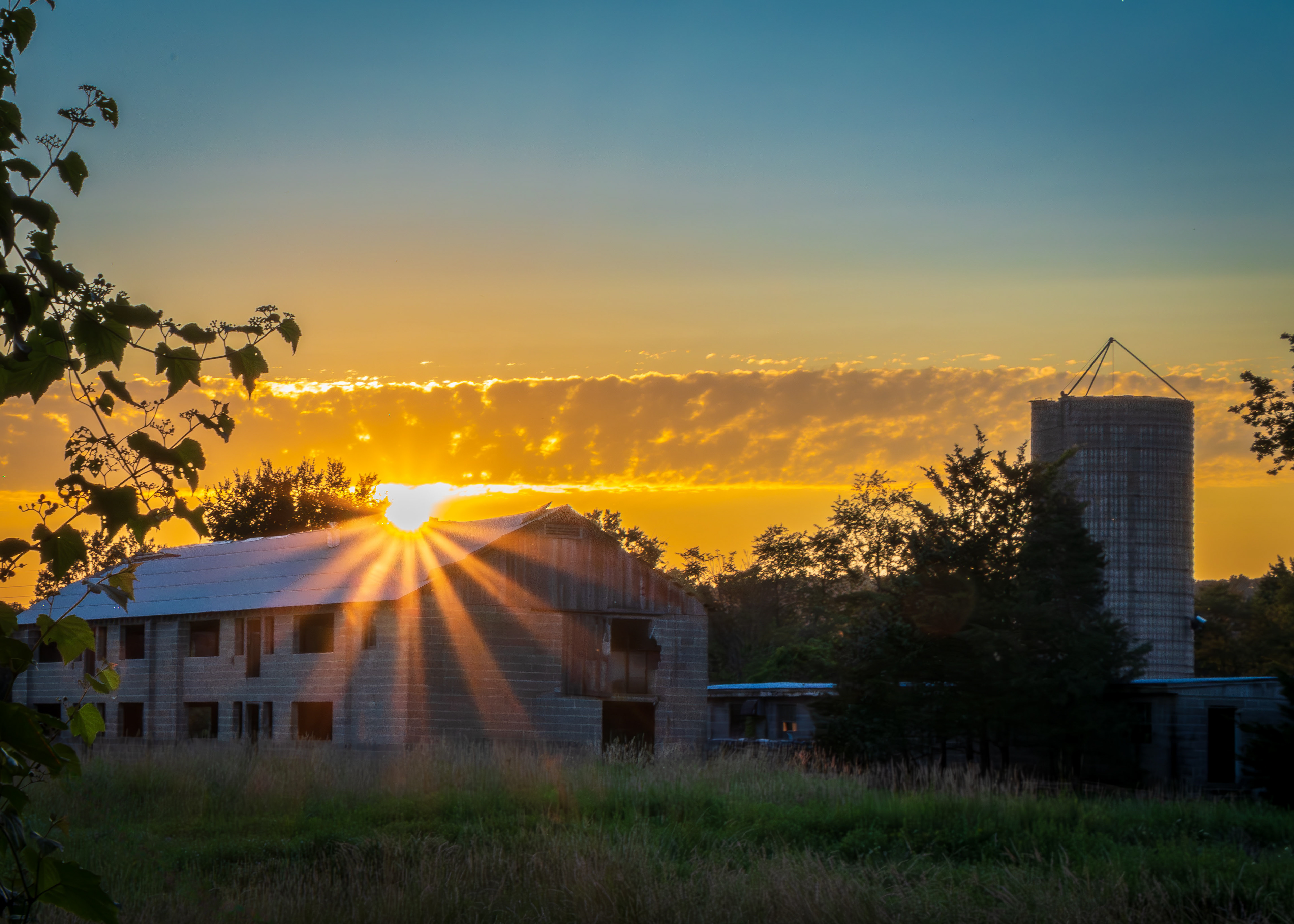 Montgomery Sunrise