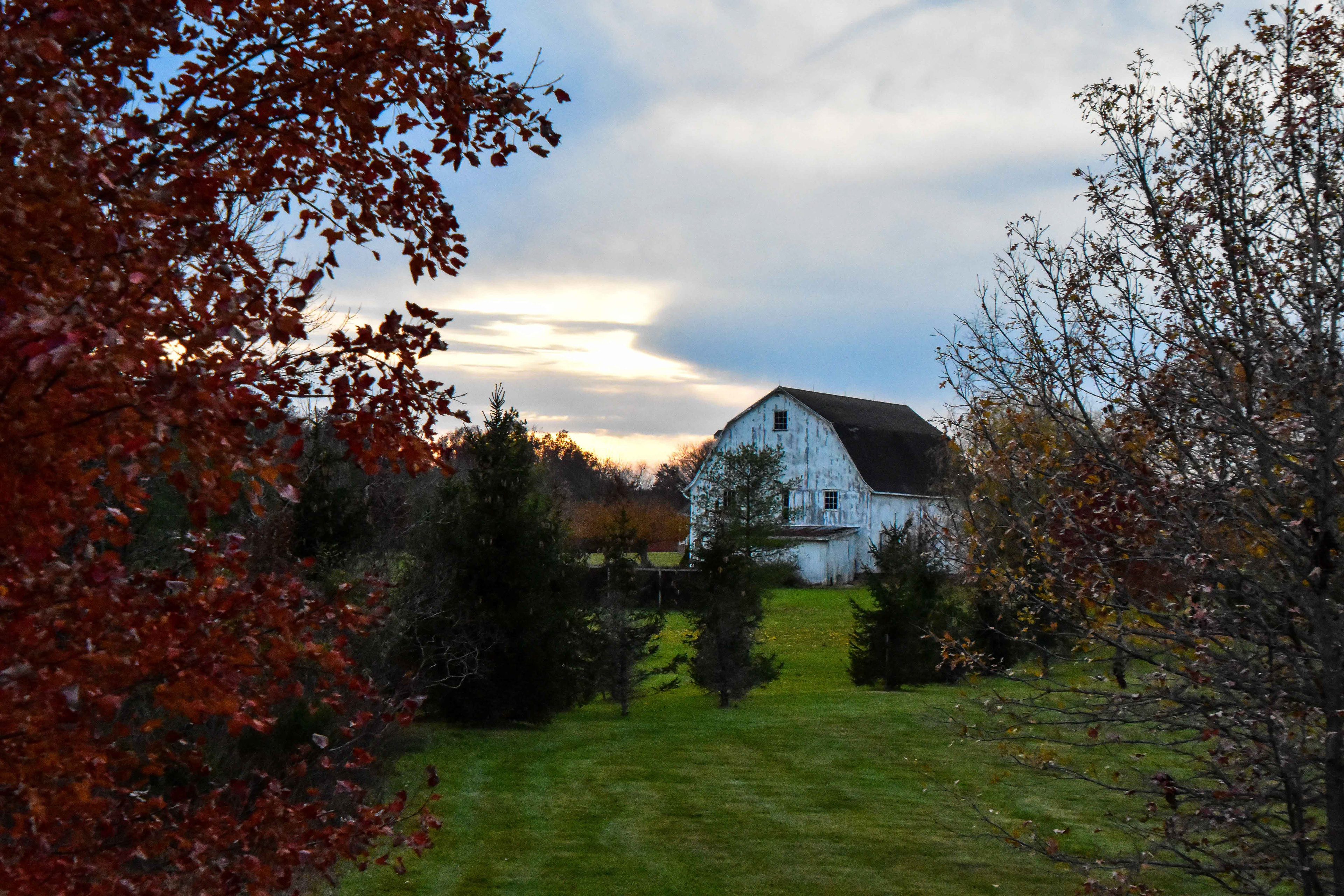 Belle Mead NJ