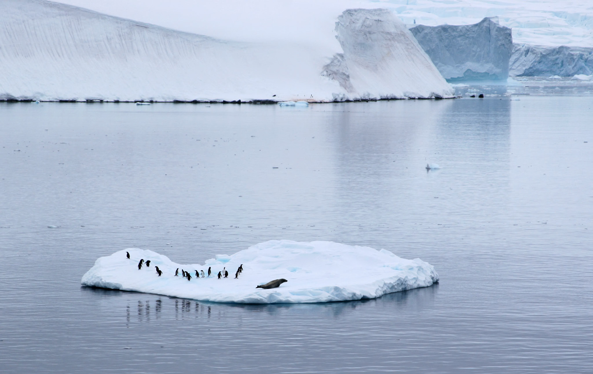 Gerlache Strait