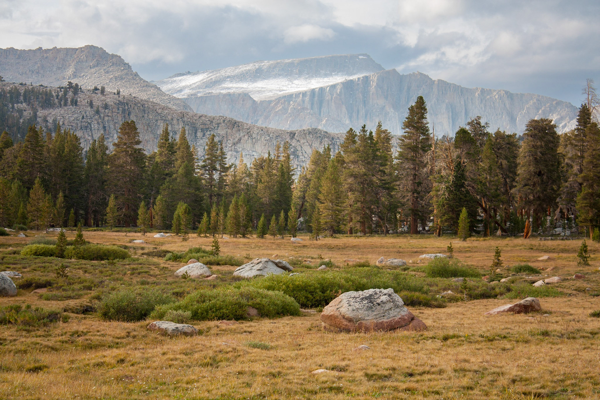 View of Mt. Langley from a meadow along Cottonwood Creek.