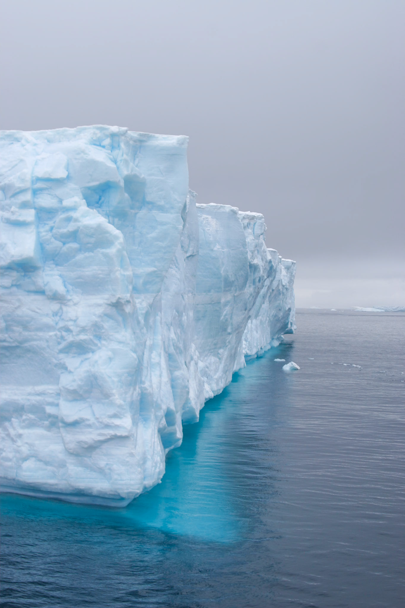 Antartic Sound