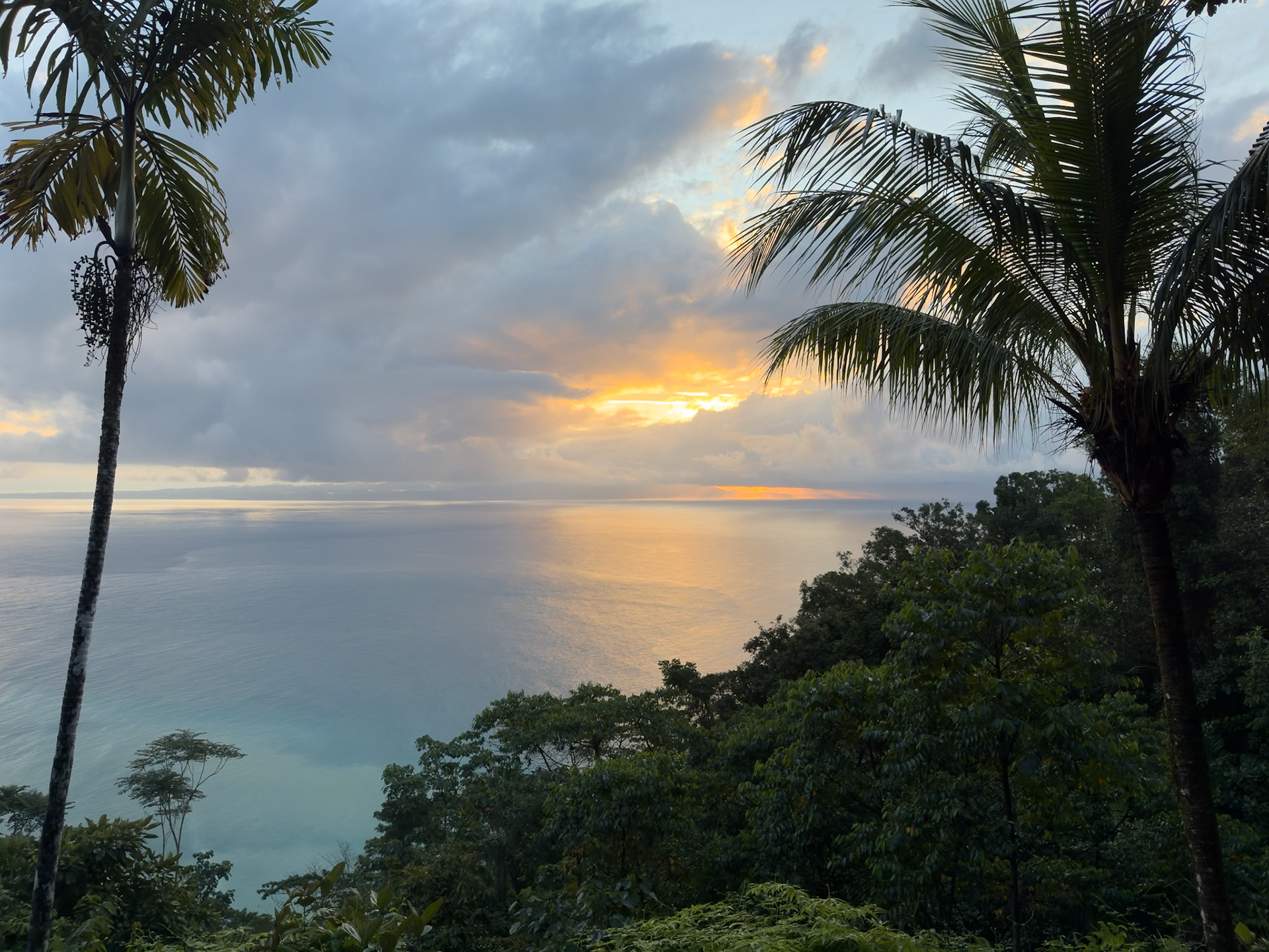 Our first sunrise on the Osa Peninsula.