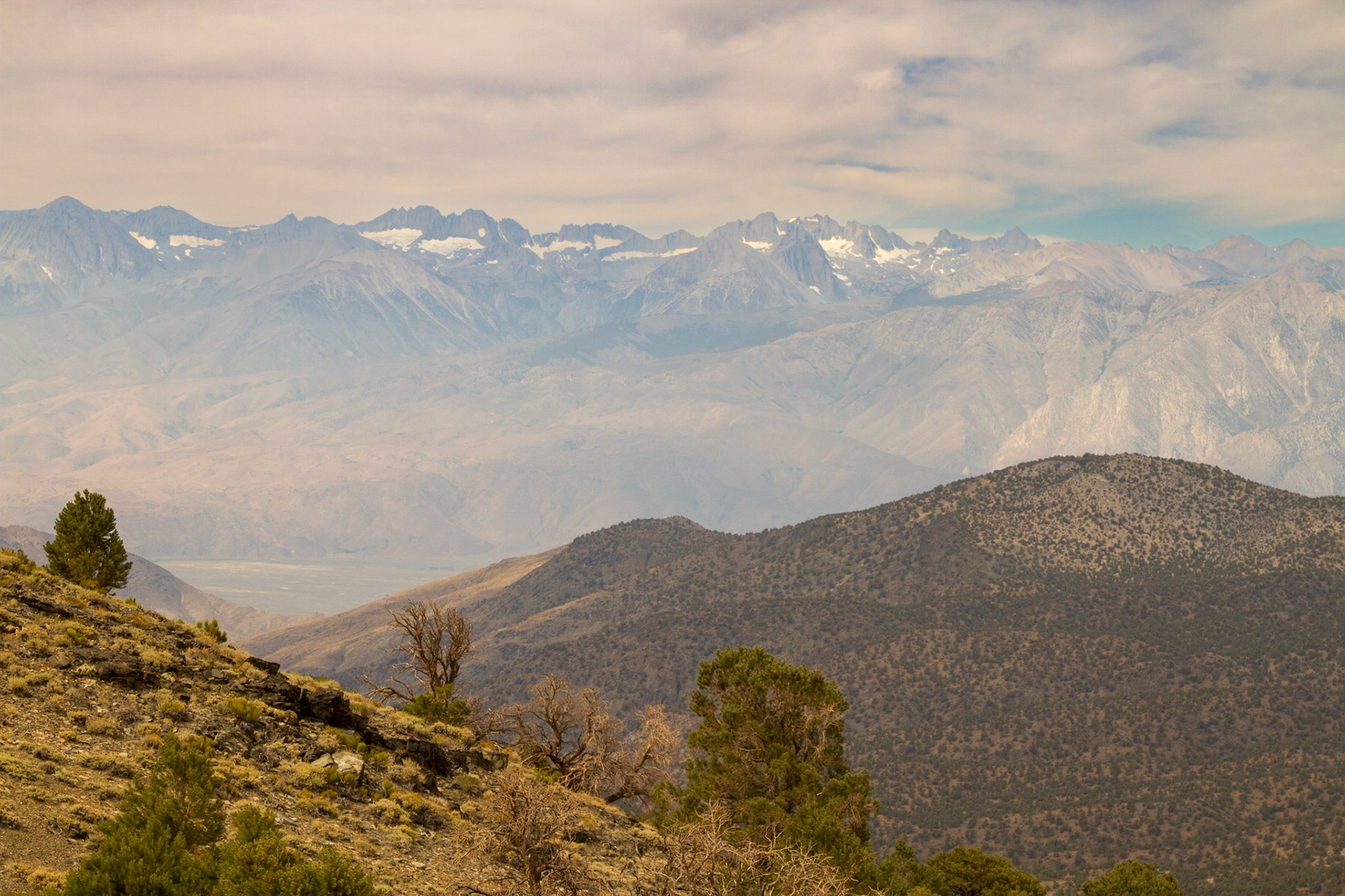 View of the Palisade Glacier from White Mountains, 2012.