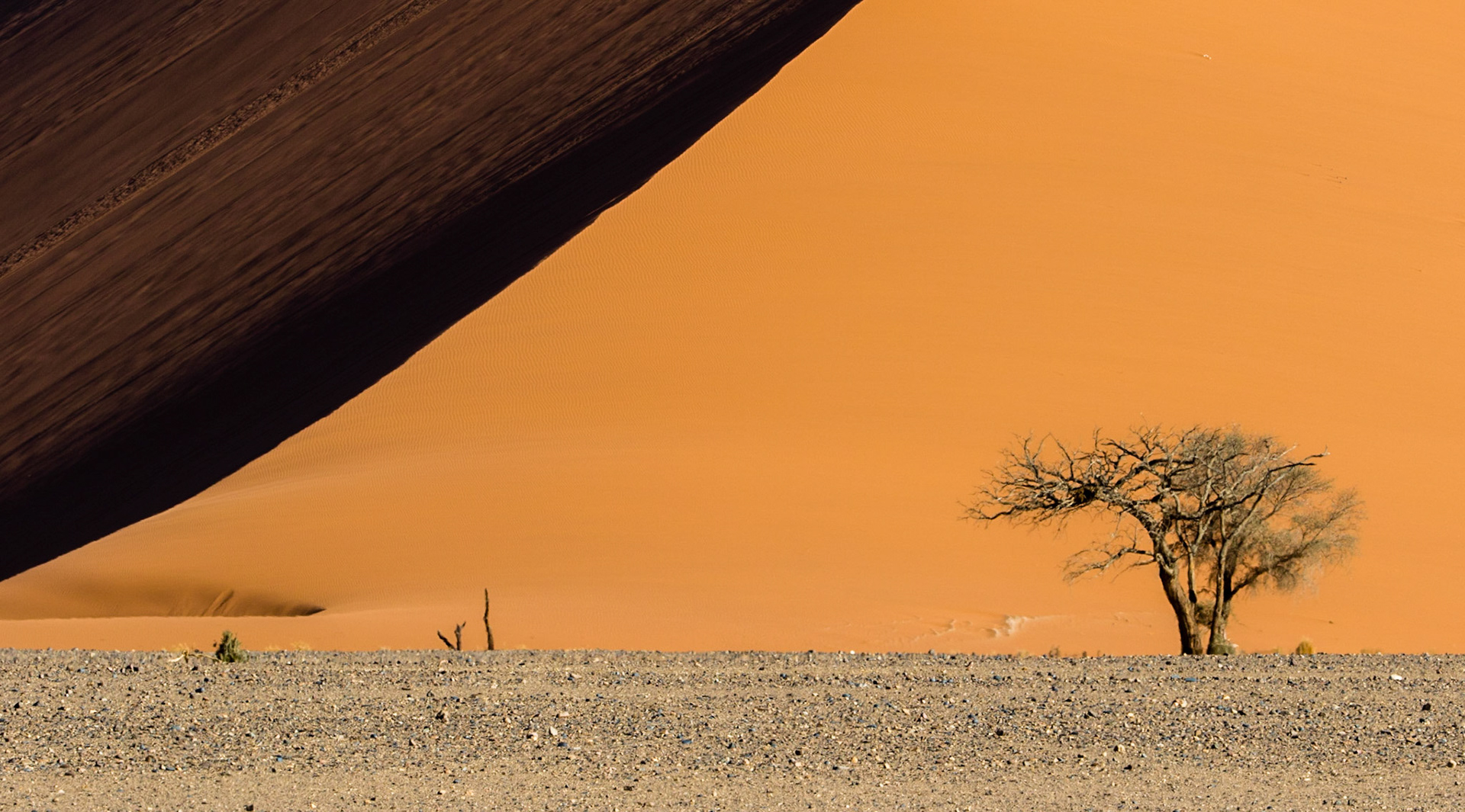 Dune in the Namib Desert of southwest Africa,  Namibia