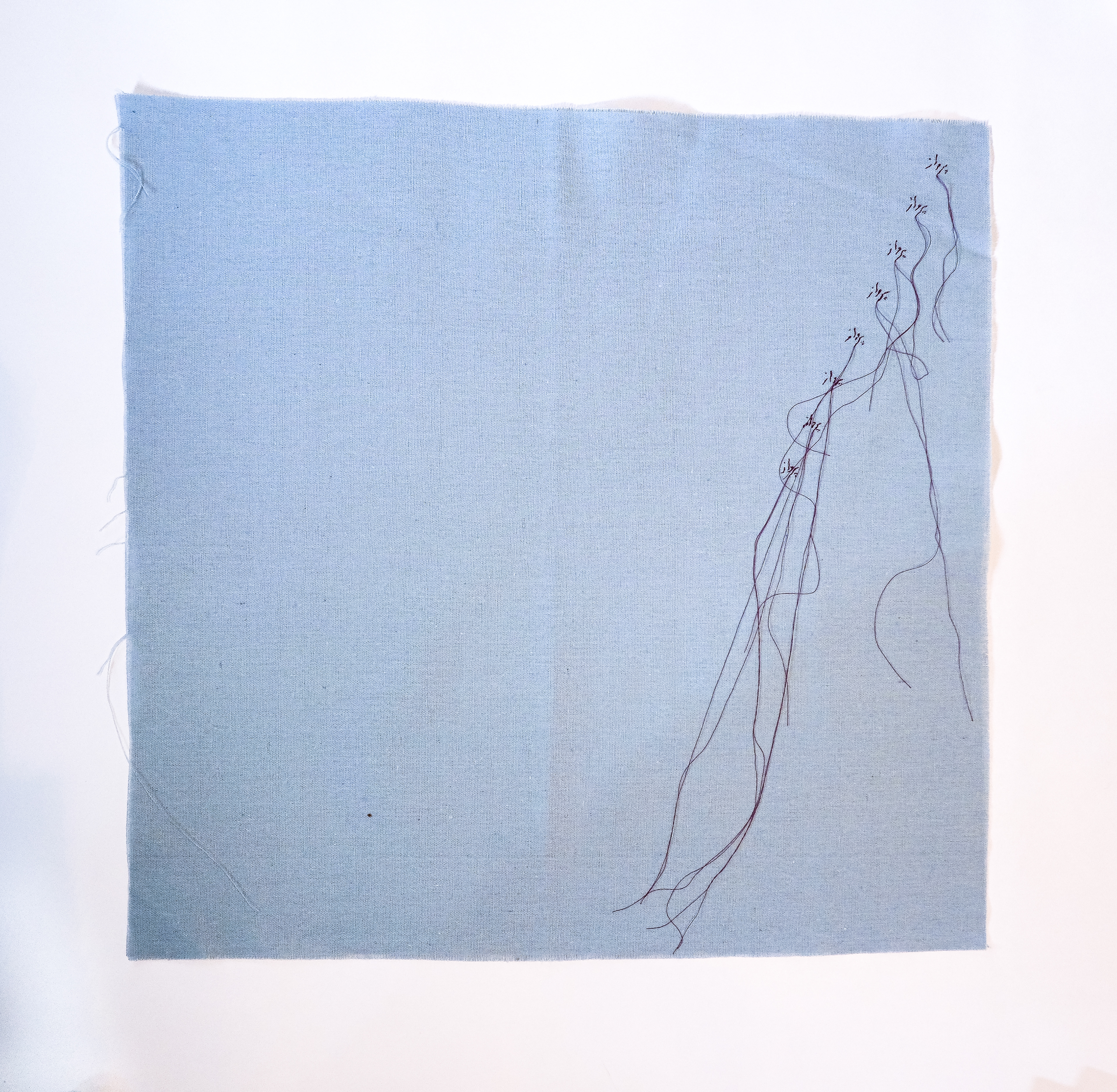 'Parvaz', sewn on the sky 