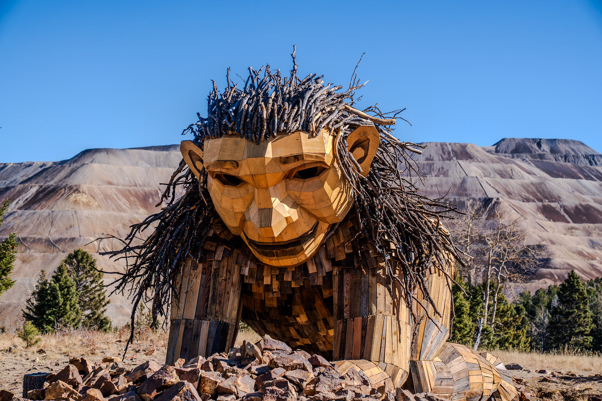 Rita the rock planter