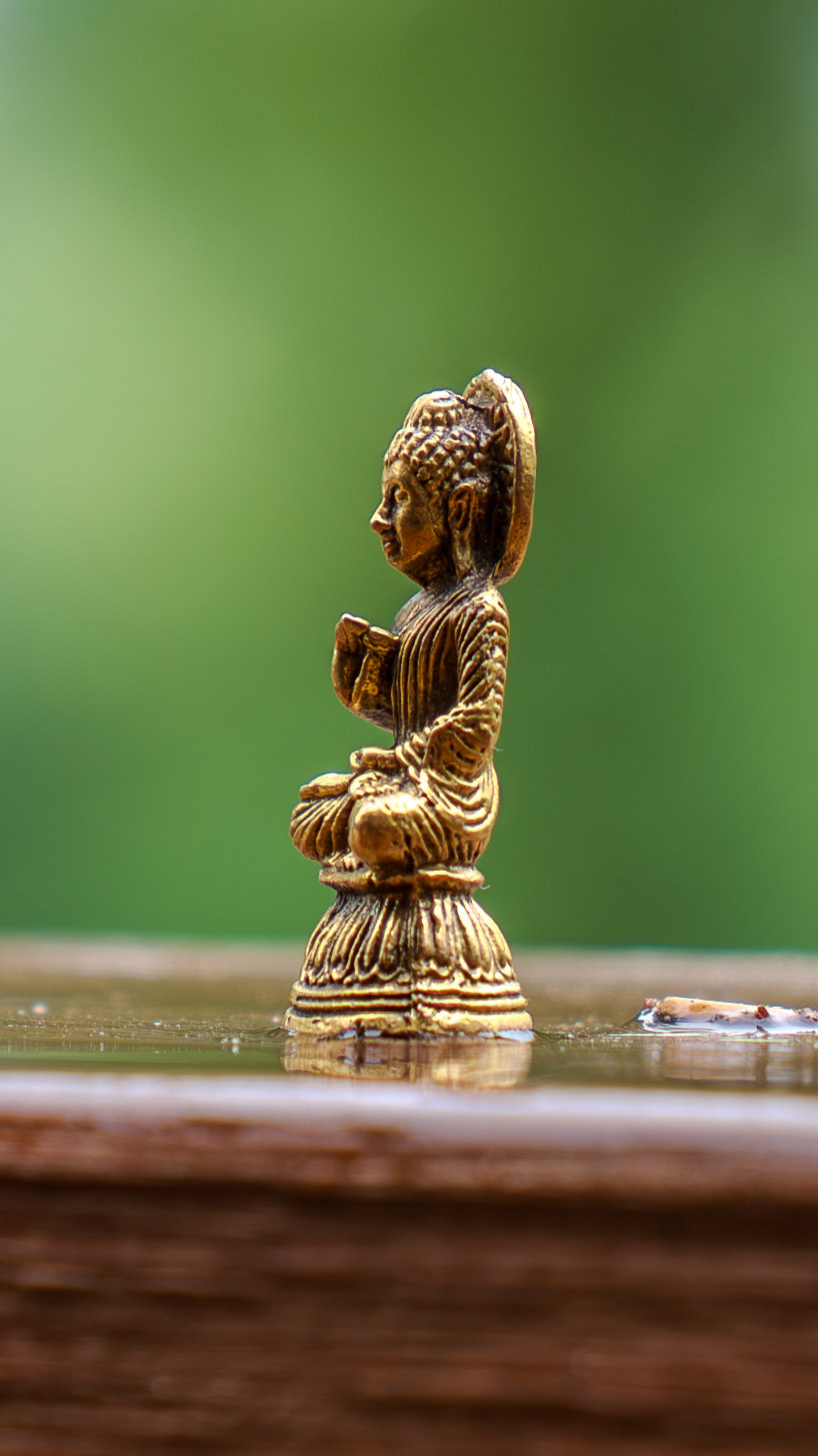 Bhudda enjoying the rain