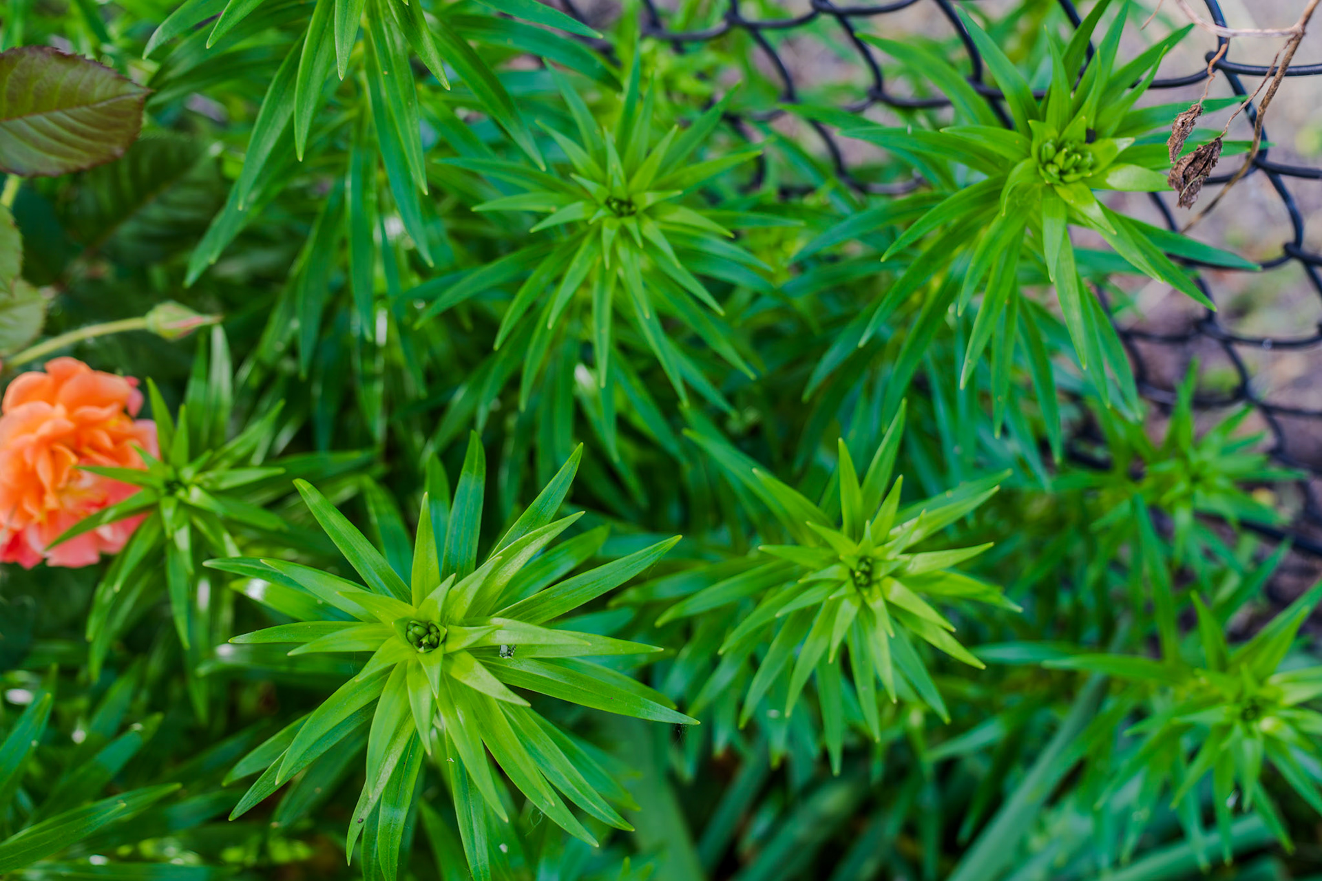 Need to find out the name of this guy too