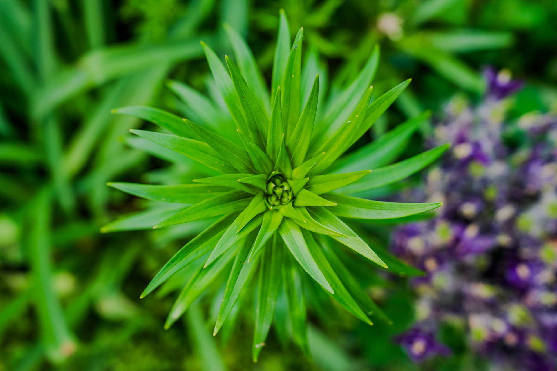 Need to find out the name of this guy