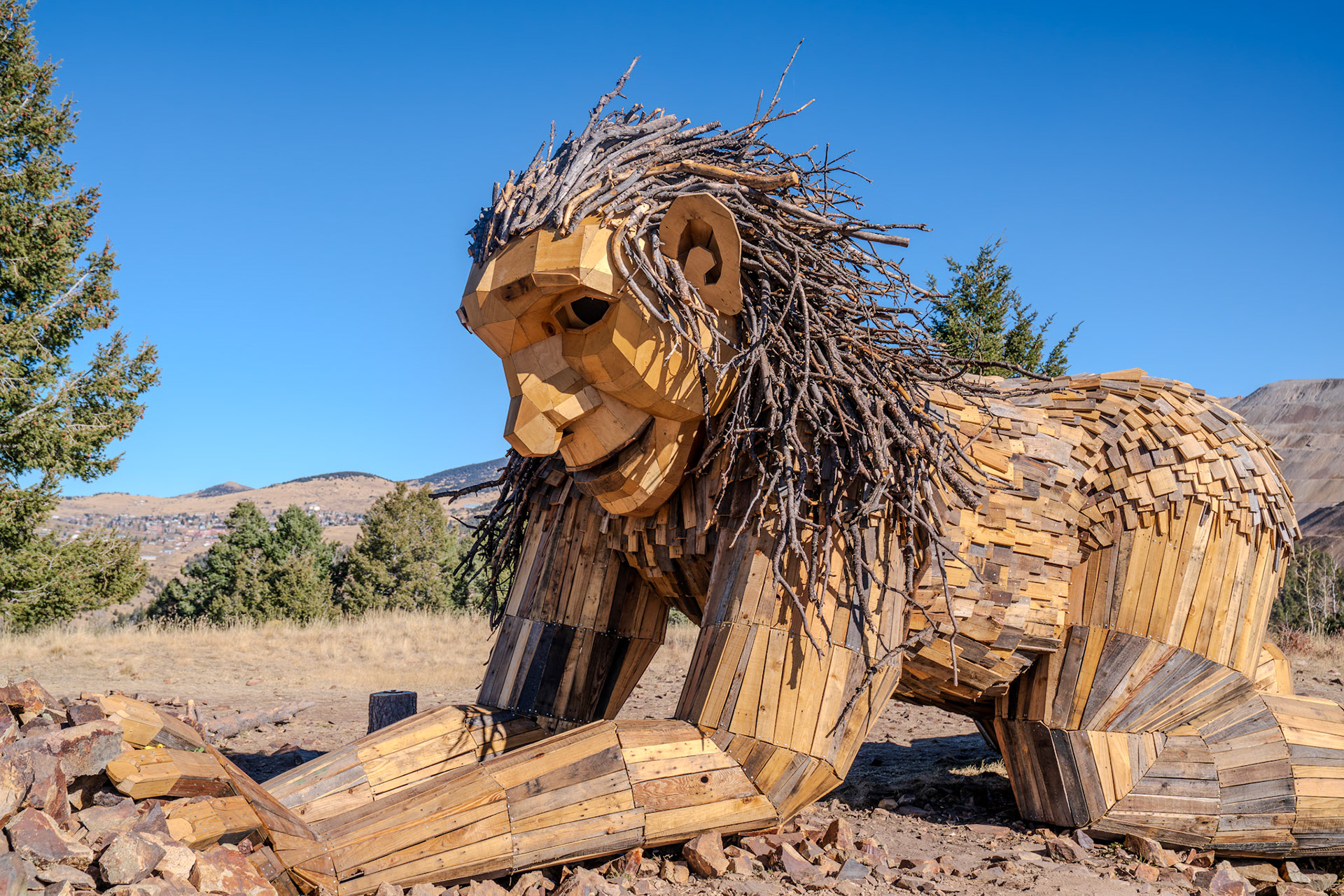 Rita the rock planter