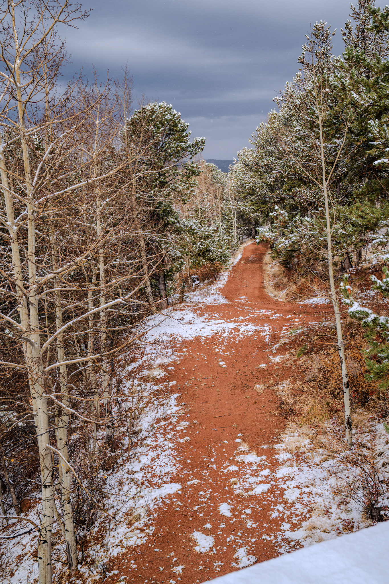 Snow days on the mountain