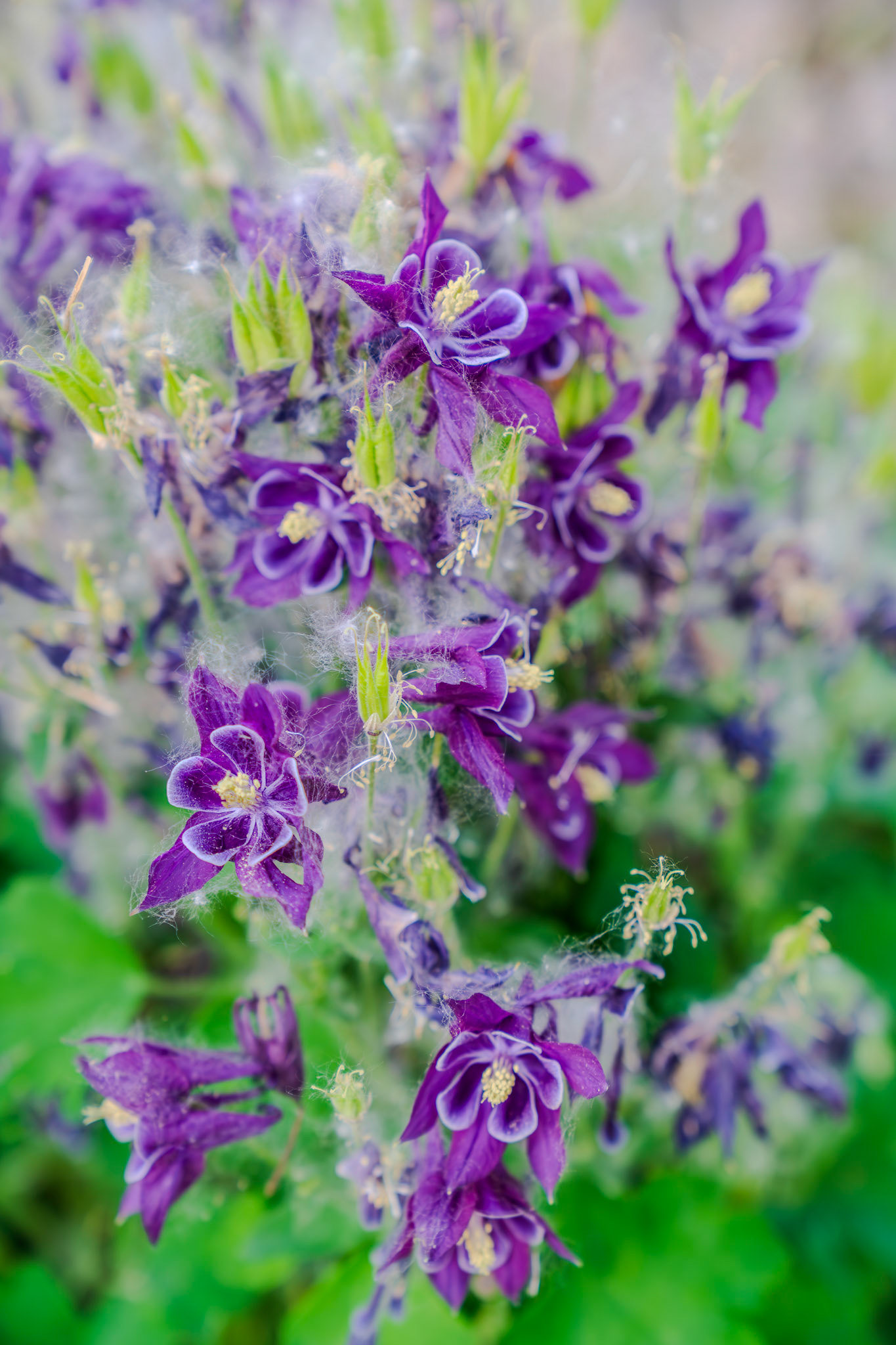 Need to find out the name of this guy too