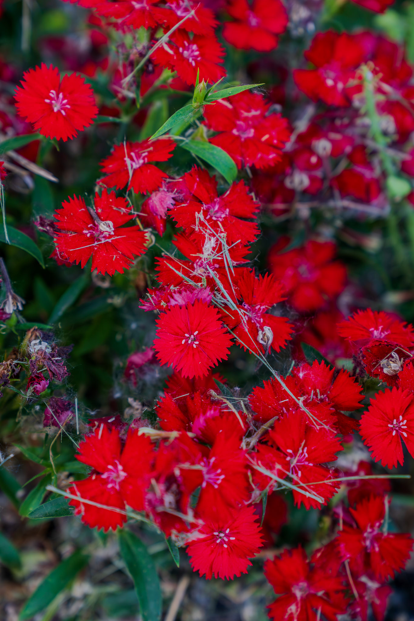 Need to find out the name of this guy too