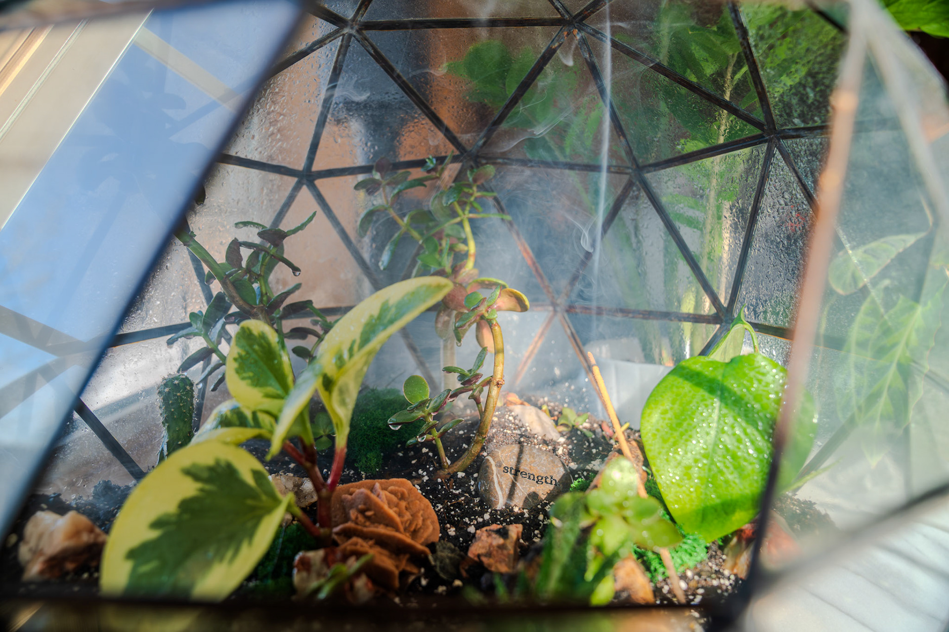 Incense in the terrarium