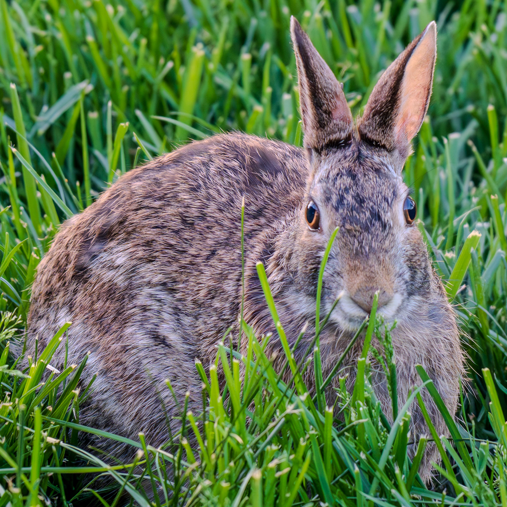 I got my eye on yous