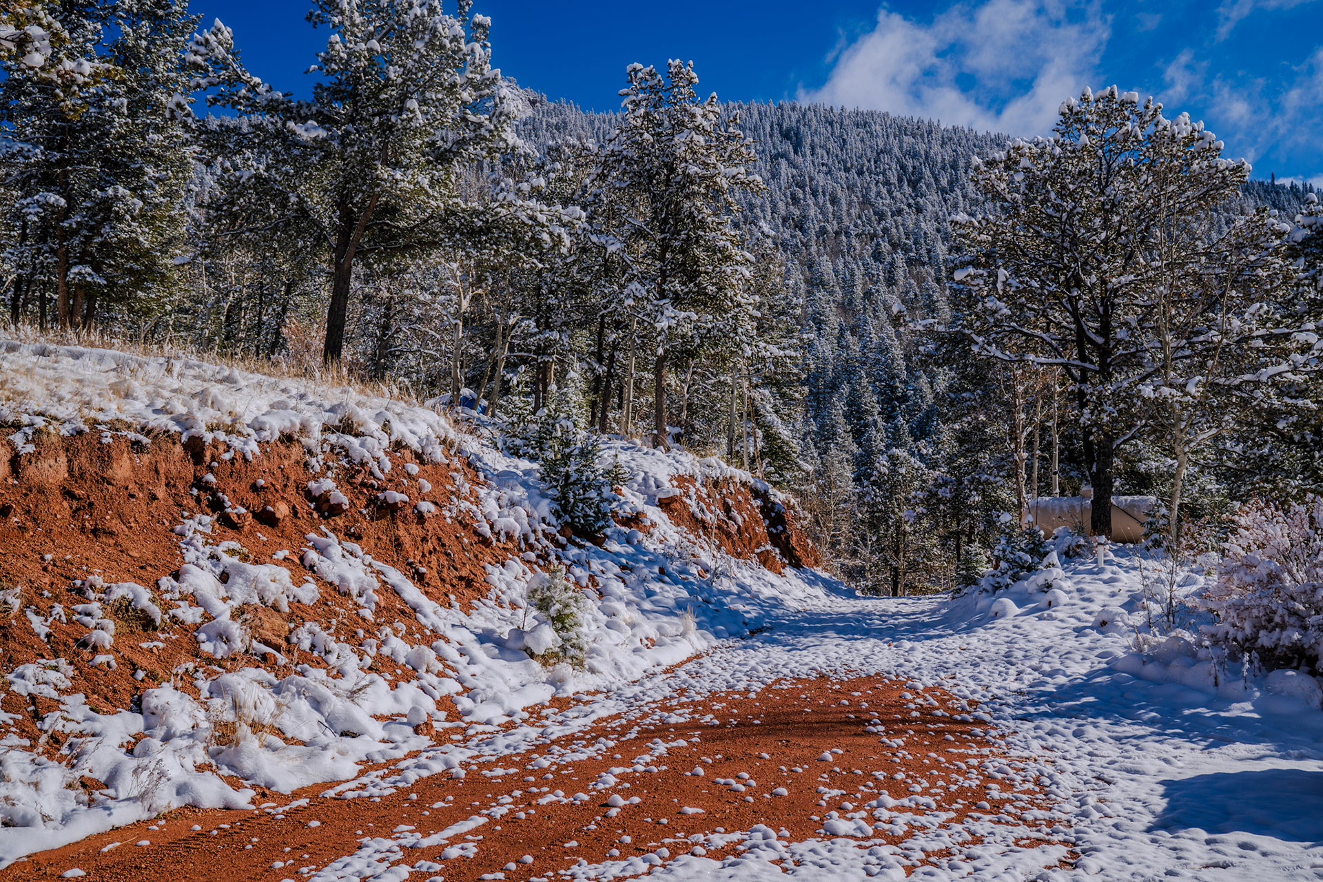 Snow days on the mountain