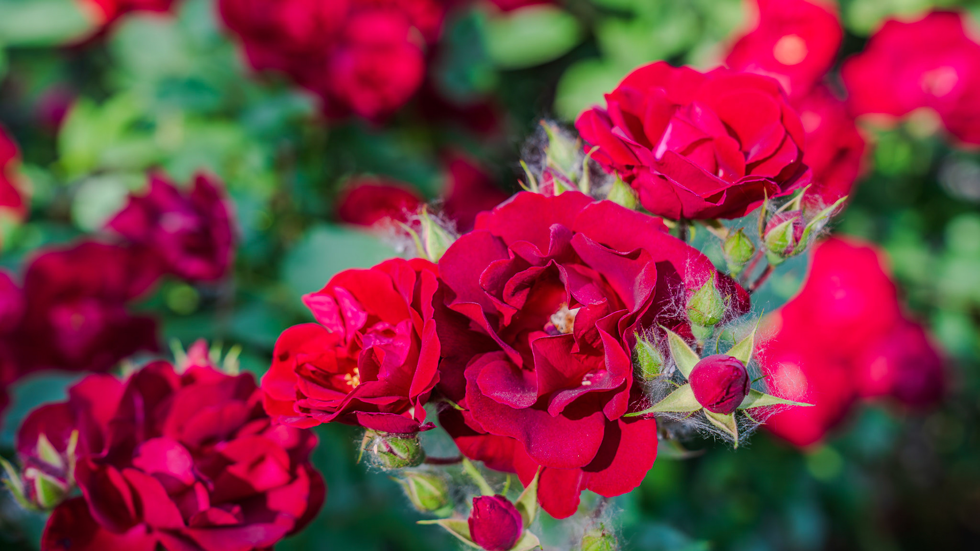 Need to find out the name of this guy too