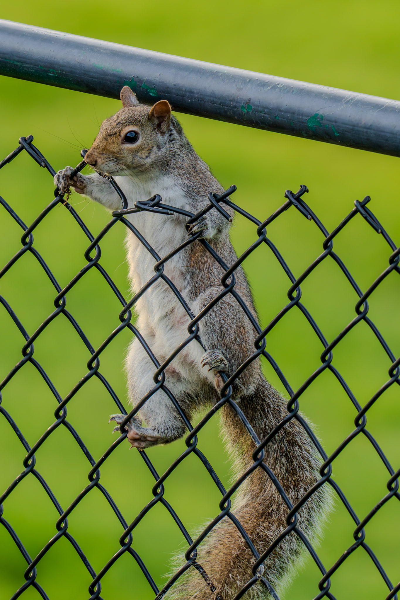 Break on through to the other side