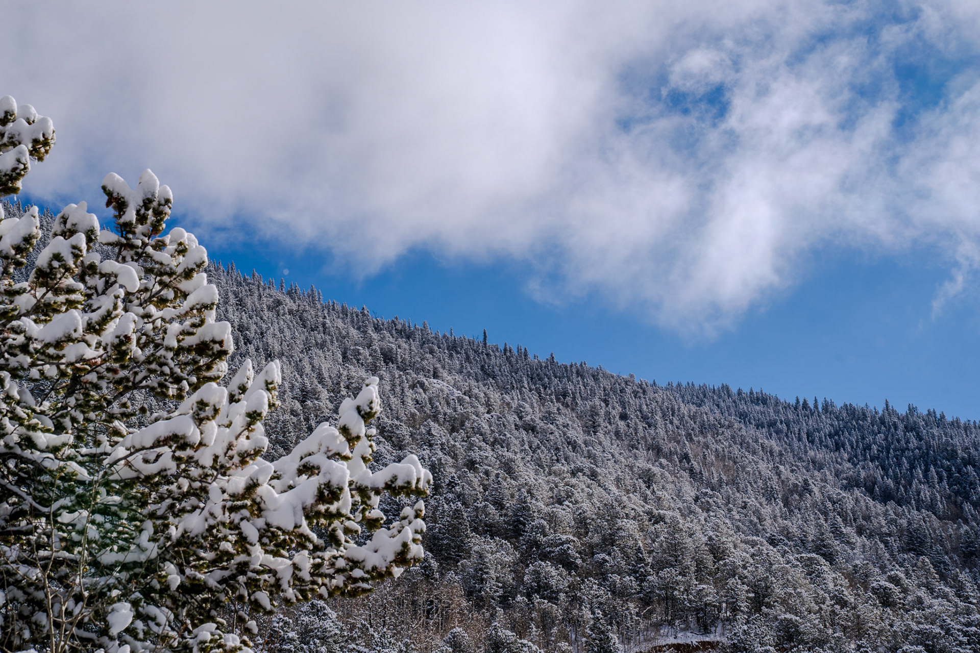 Snow days on the mountain
