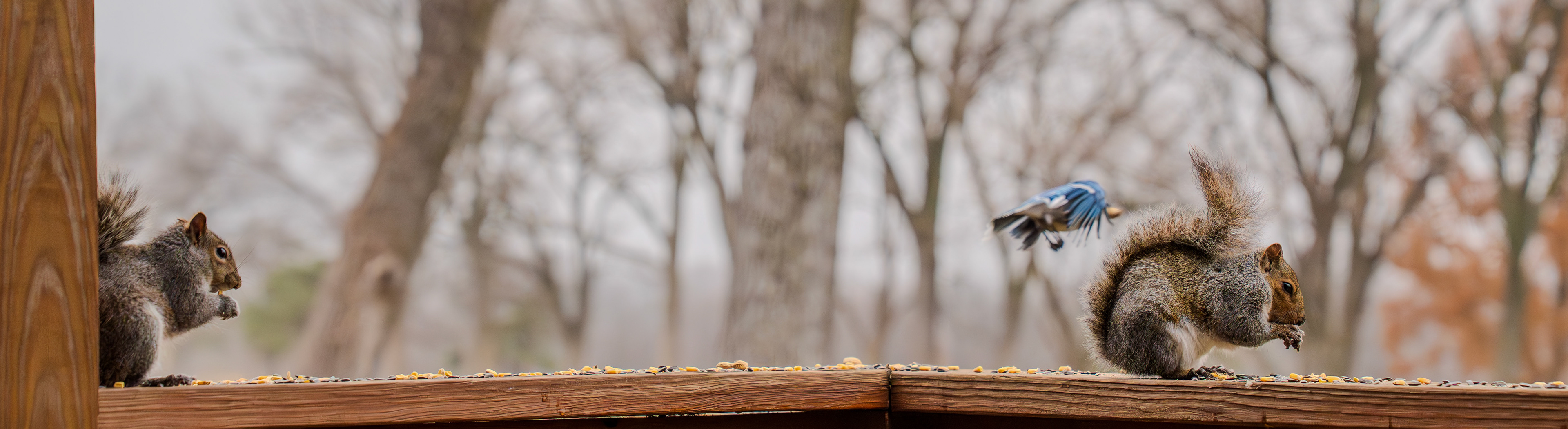 Lunchtime on the deck