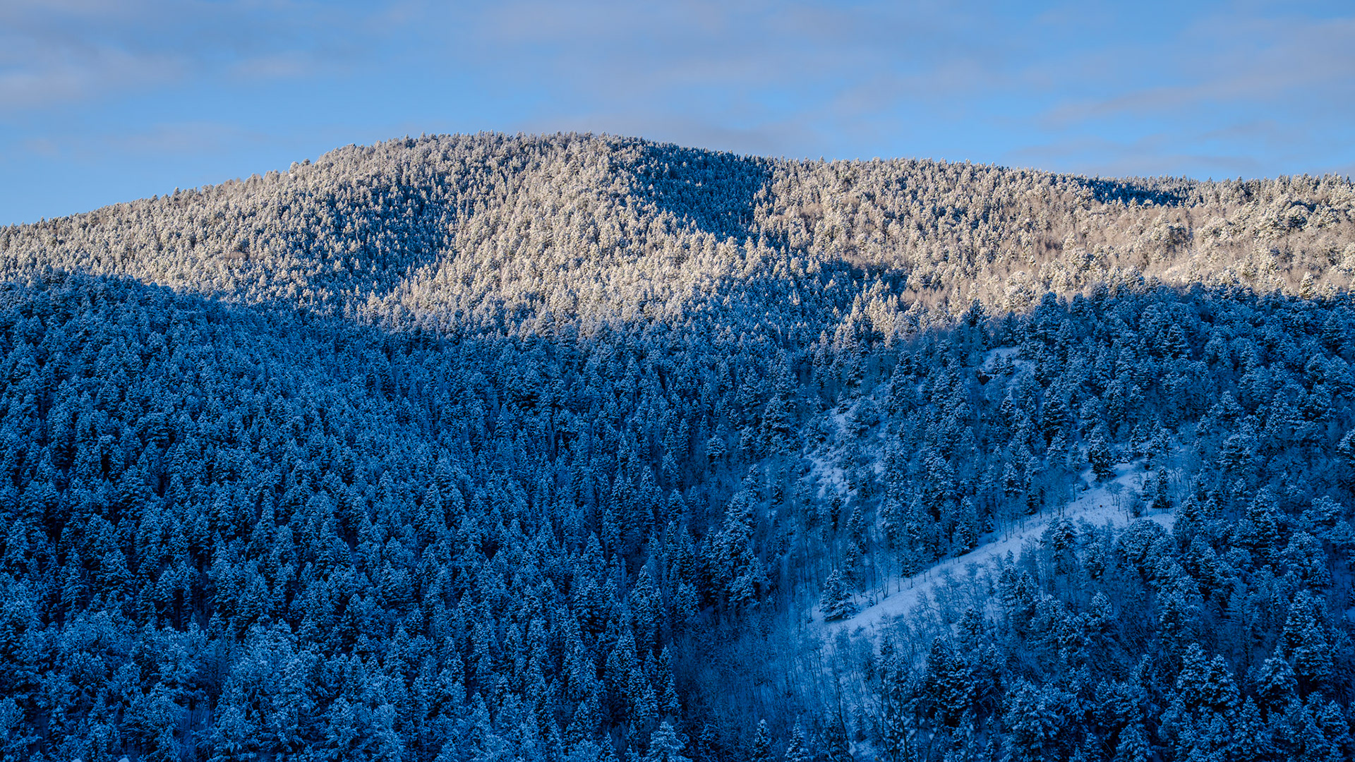 Snow days on the mountain